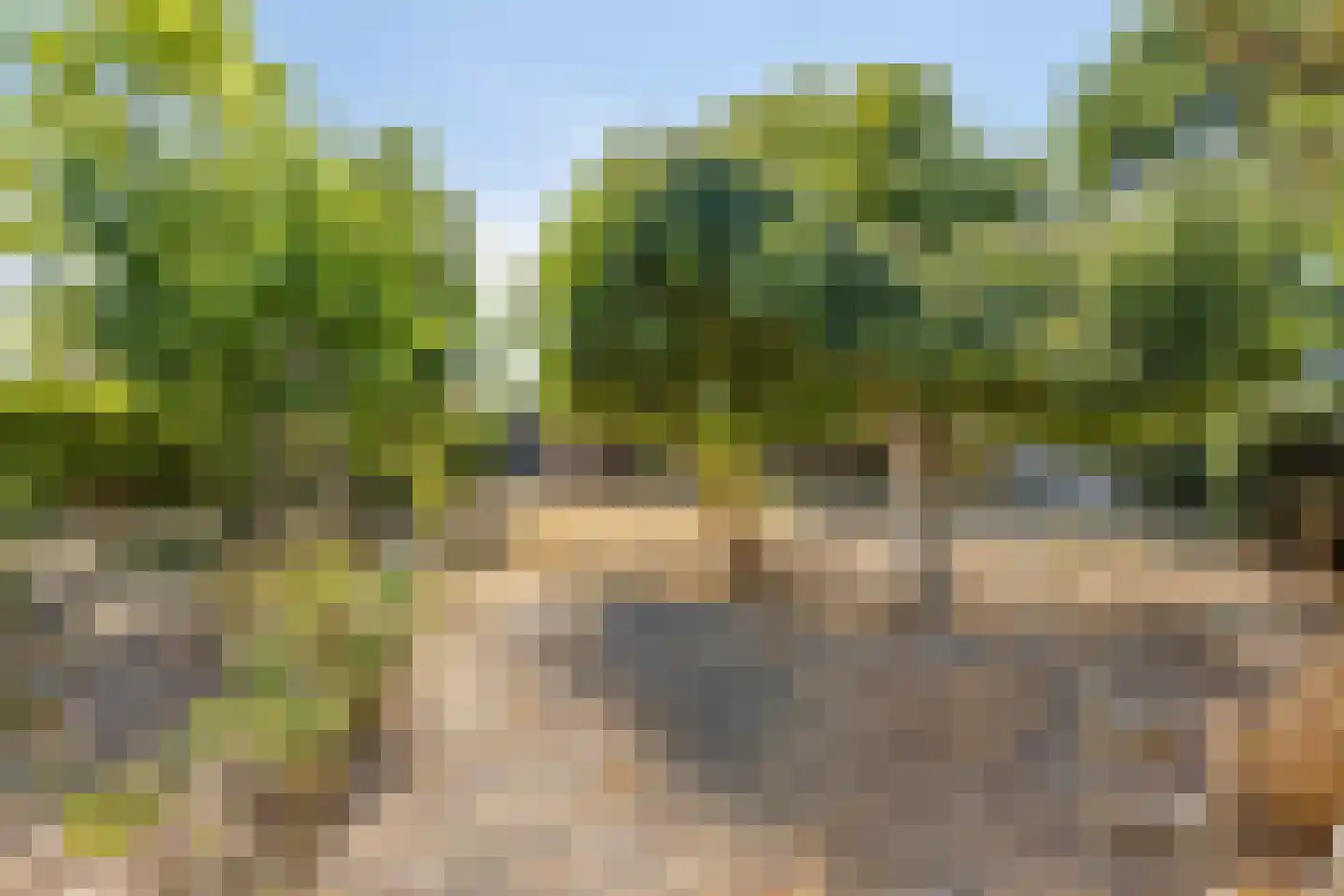 Donkereweg 12 Noordgouwe thumbnail 36
