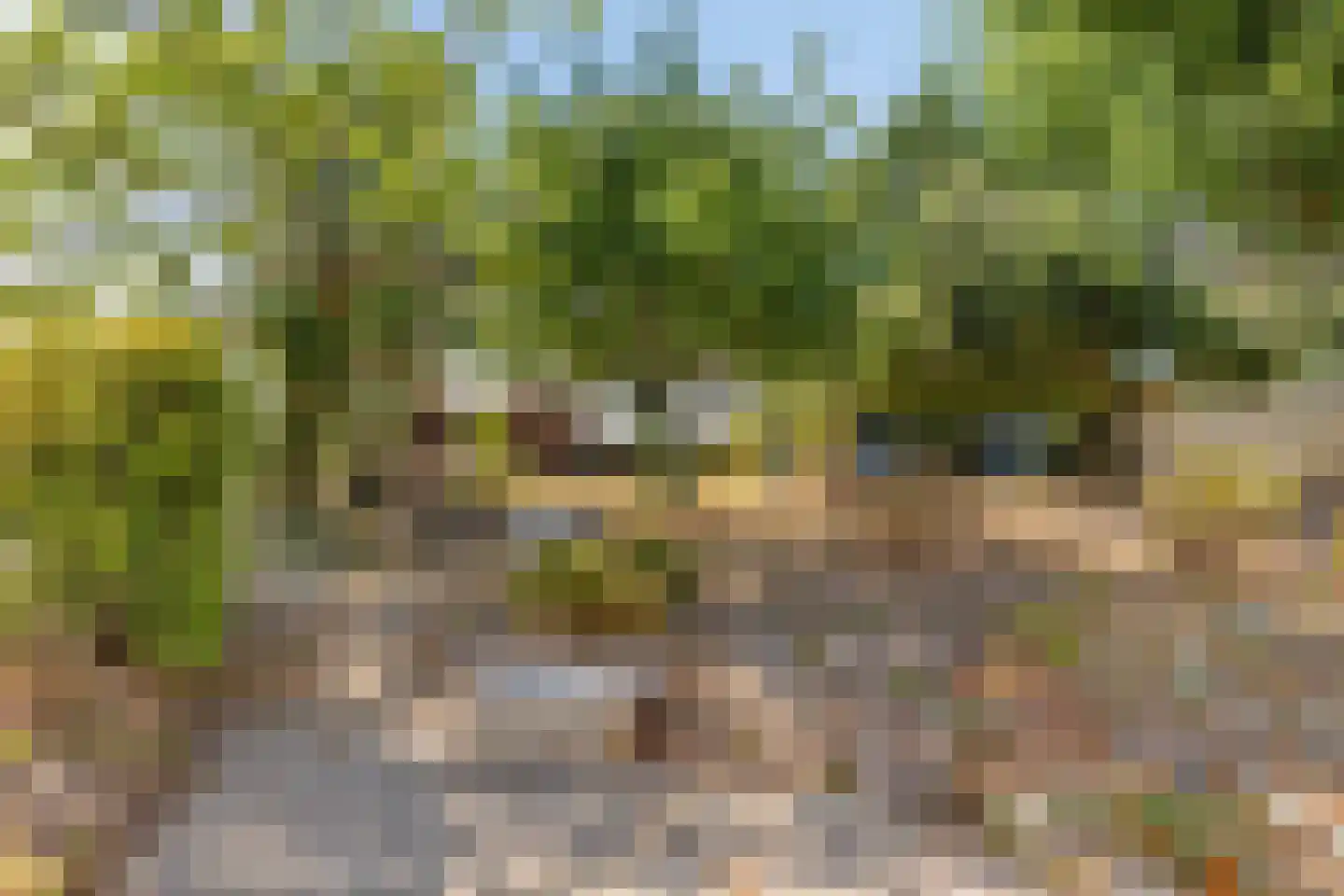 Donkereweg 12 Noordgouwe thumbnail 37