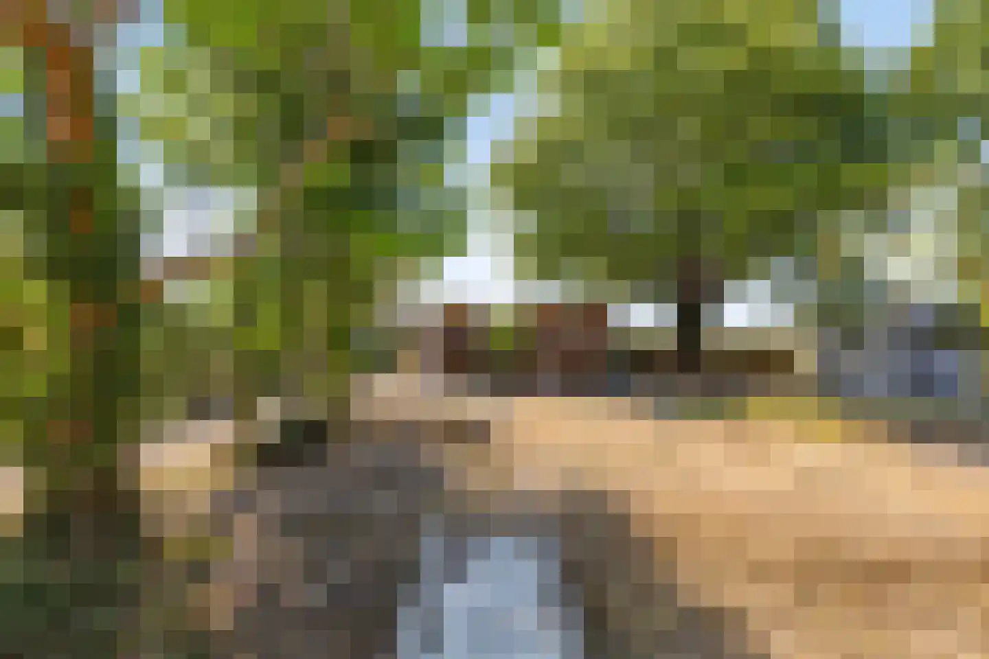 Donkereweg 12 Noordgouwe thumbnail 38