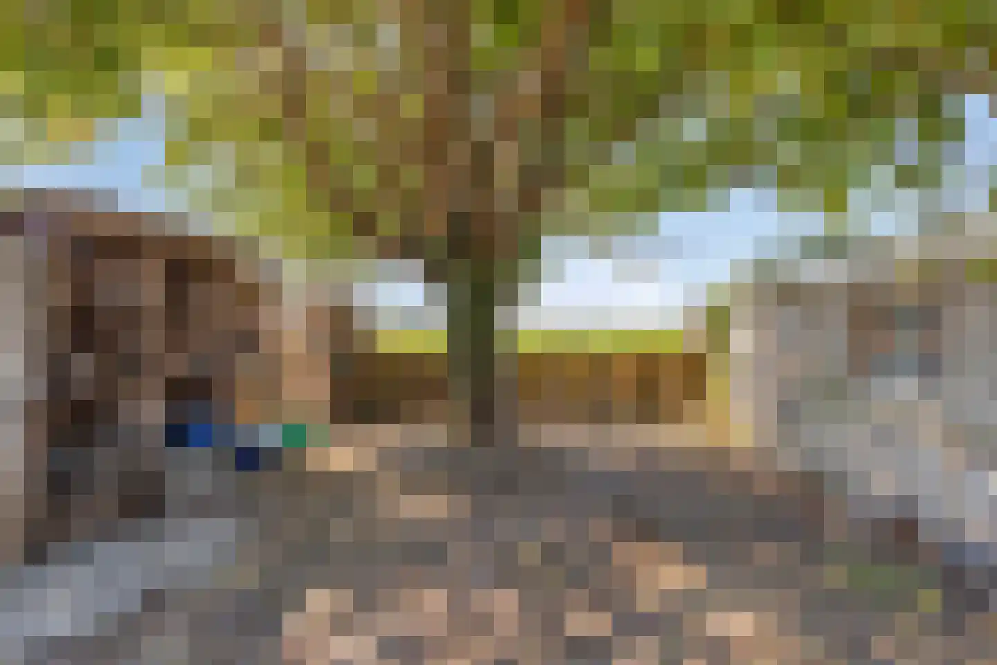 Donkereweg 12 Noordgouwe thumbnail 39