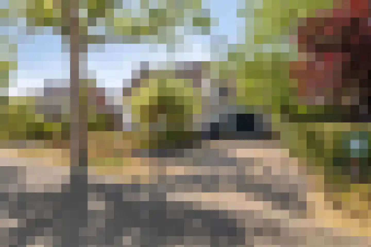 Donkereweg 12 Noordgouwe thumbnail 4