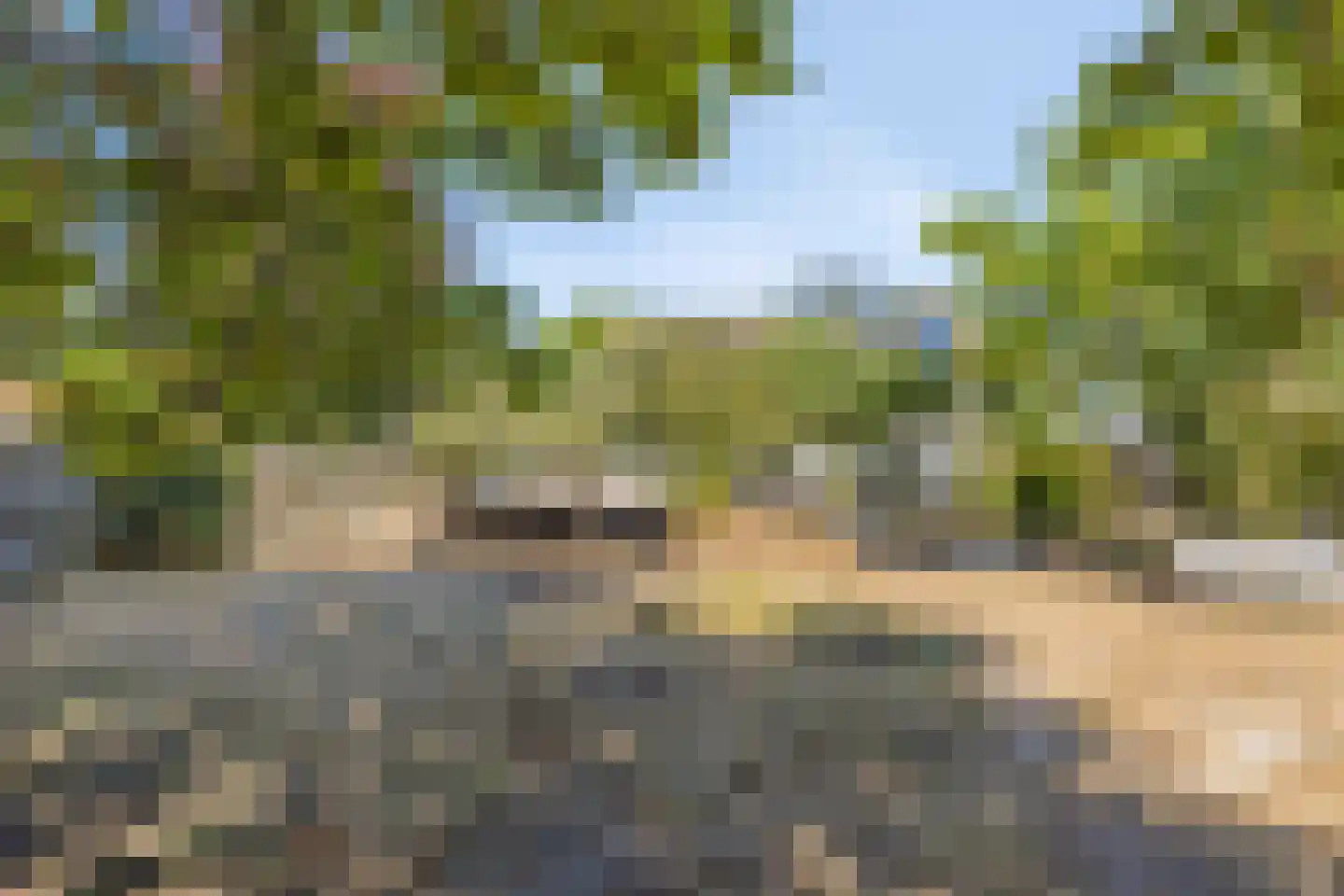 Donkereweg 12 Noordgouwe thumbnail 41