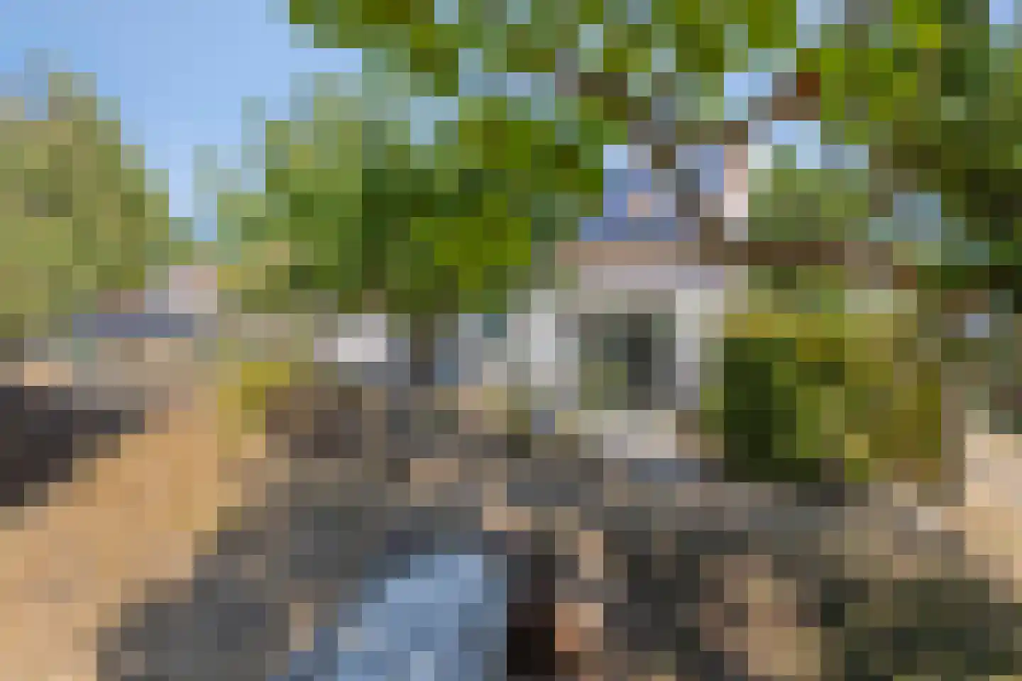 Donkereweg 12 Noordgouwe thumbnail 42
