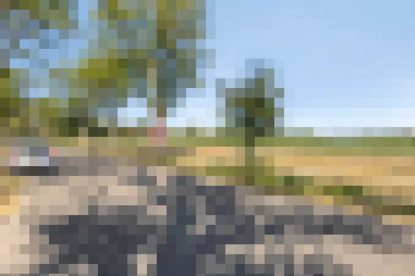 Donkereweg 12 Noordgouwe thumbnail 45