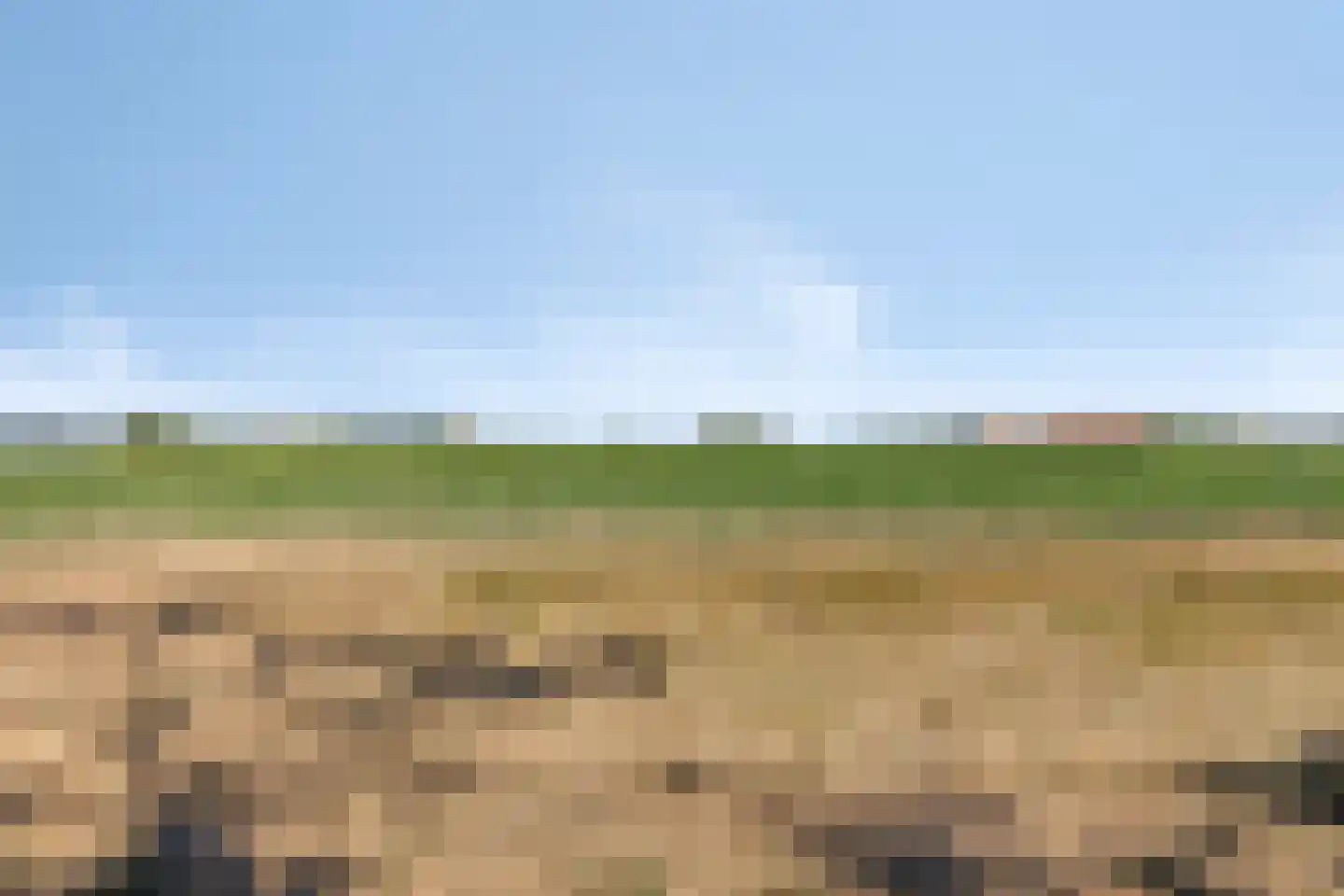 Donkereweg 12 Noordgouwe thumbnail 46