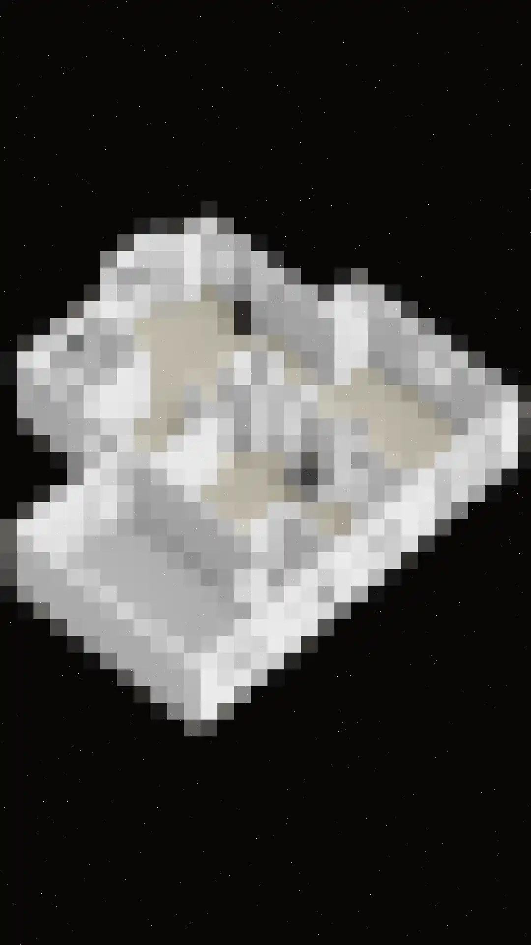 Donkereweg 12 Noordgouwe thumbnail 49