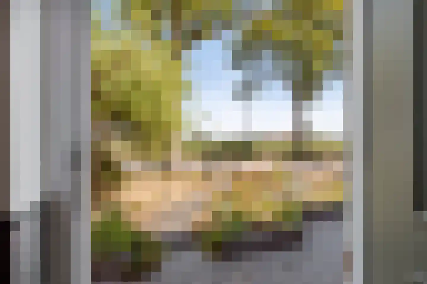 Donkereweg 12 Noordgouwe thumbnail 7