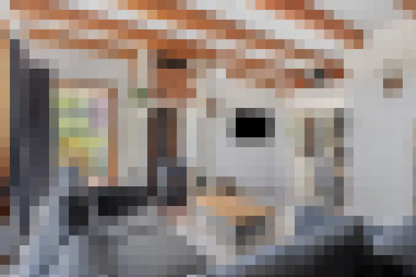 Donkereweg 12 Noordgouwe thumbnail 8