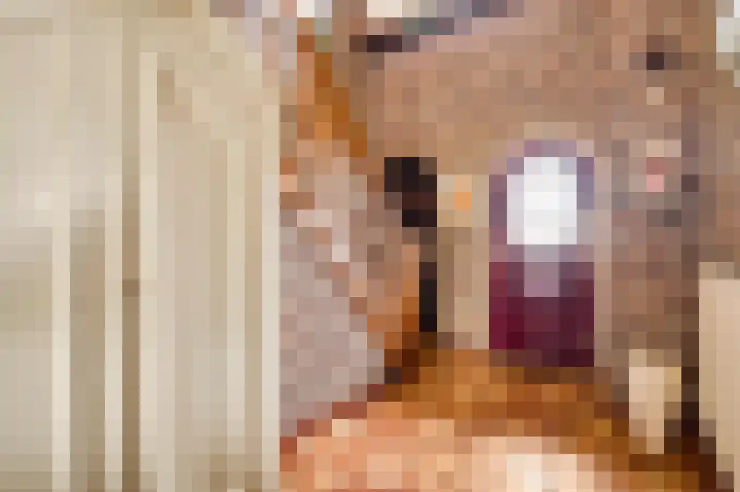 Donkerpeelkensweg 17 Meijel thumbnail 11