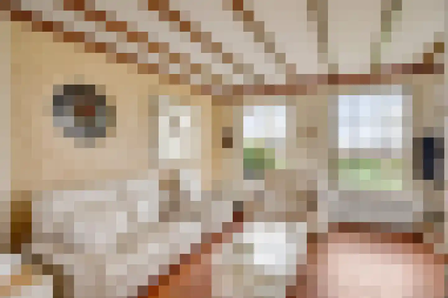 Donkerpeelkensweg 17 Meijel thumbnail 13