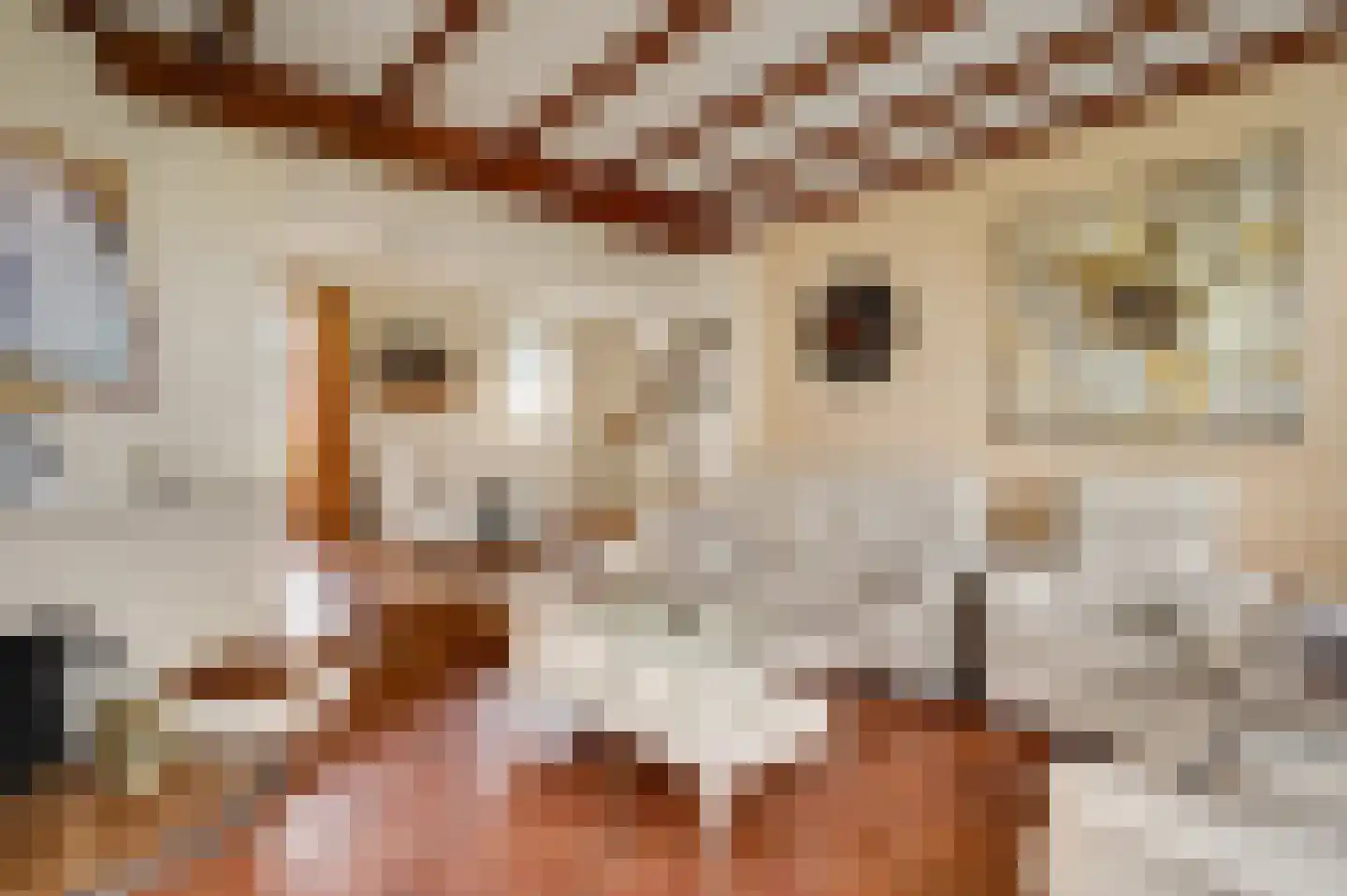 Donkerpeelkensweg 17 Meijel thumbnail 14