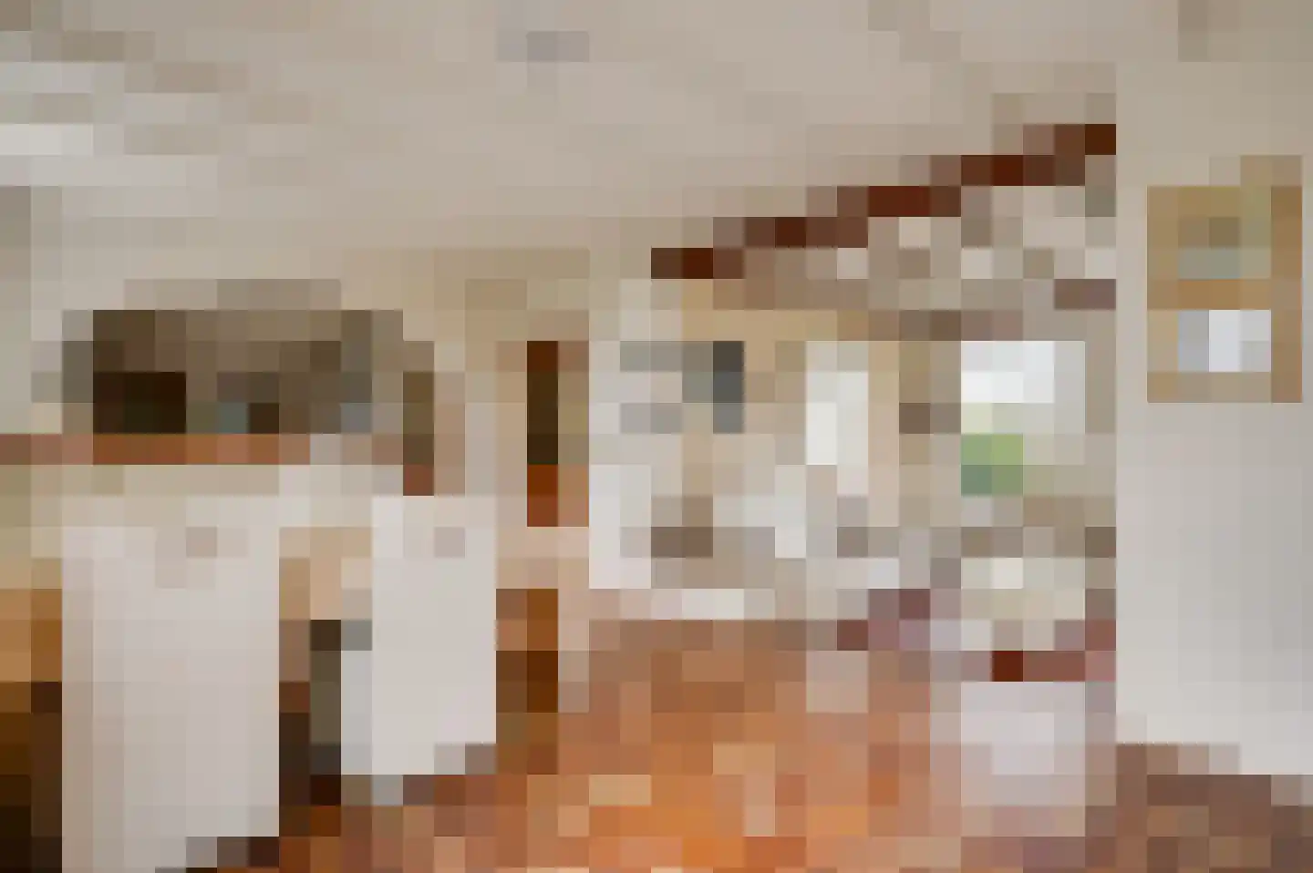Donkerpeelkensweg 17 Meijel thumbnail 16
