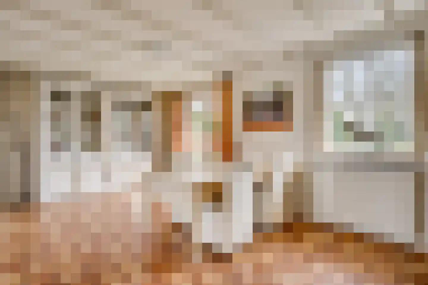 Donkerpeelkensweg 17 Meijel thumbnail 17