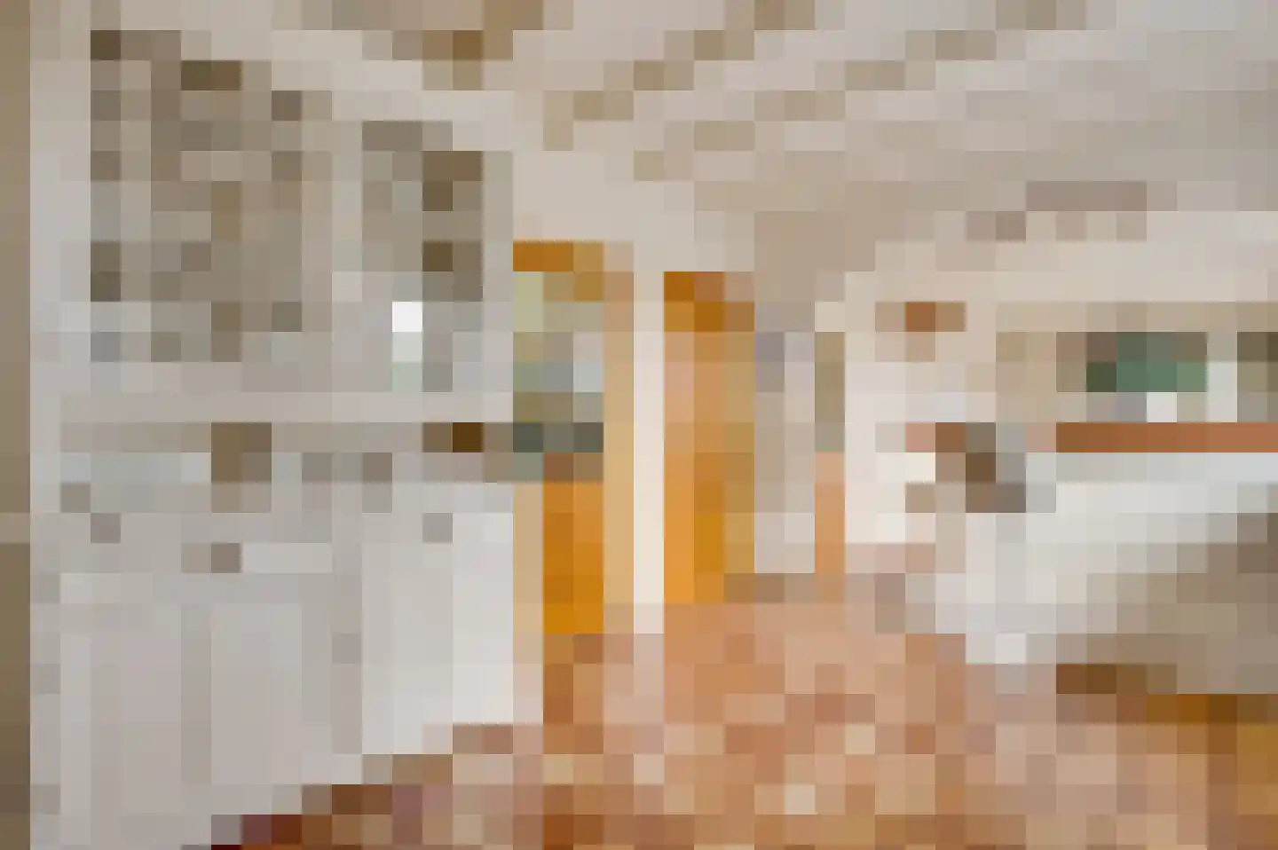 Donkerpeelkensweg 17 Meijel thumbnail 19