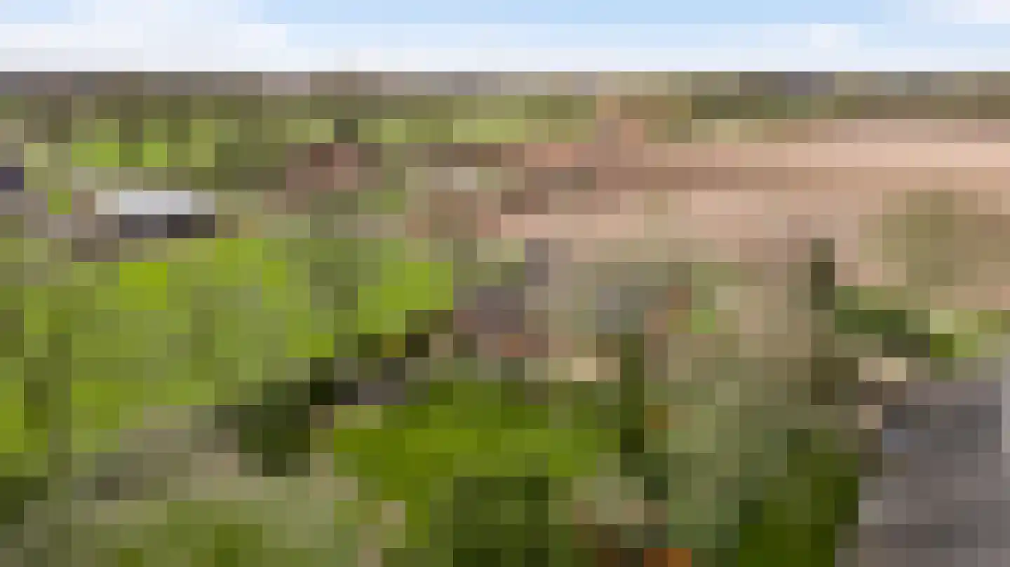 Donkerpeelkensweg 17 Meijel foto 2