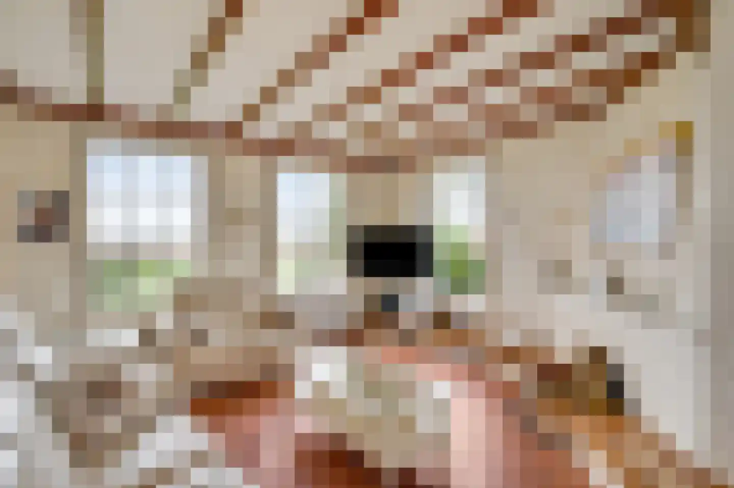 Donkerpeelkensweg 17 Meijel foto 3