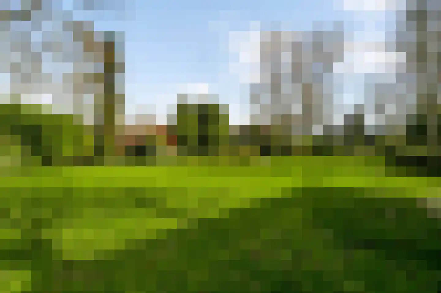 Donkerpeelkensweg 17 Meijel thumbnail 35