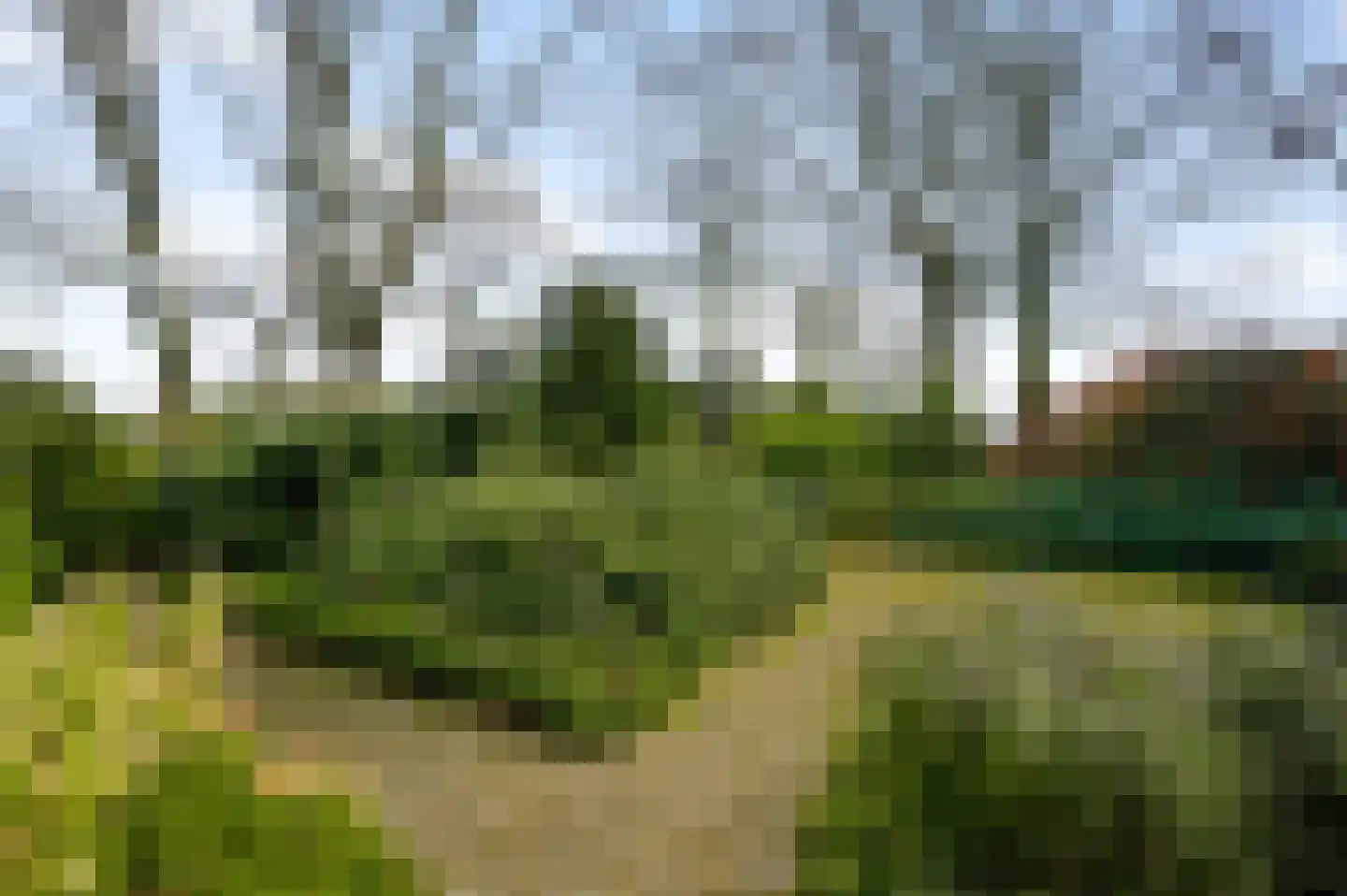 Donkerpeelkensweg 17 Meijel thumbnail 38