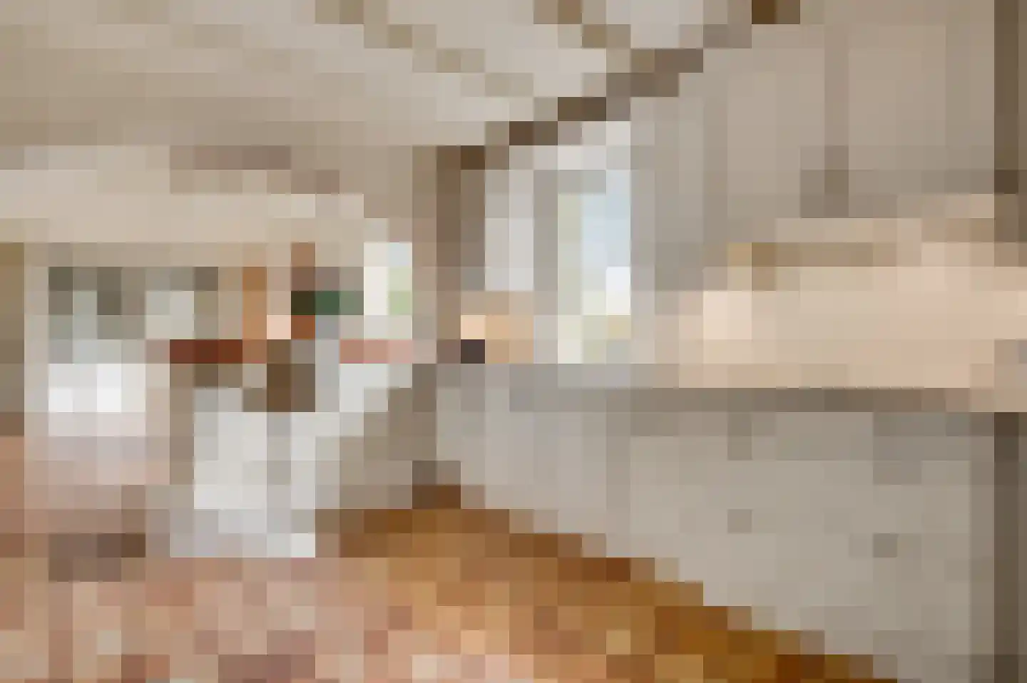 Donkerpeelkensweg 17 Meijel thumbnail 4