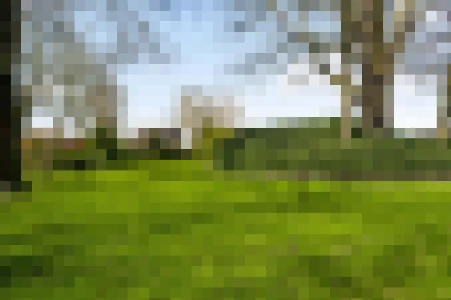 Donkerpeelkensweg 17 Meijel thumbnail 40