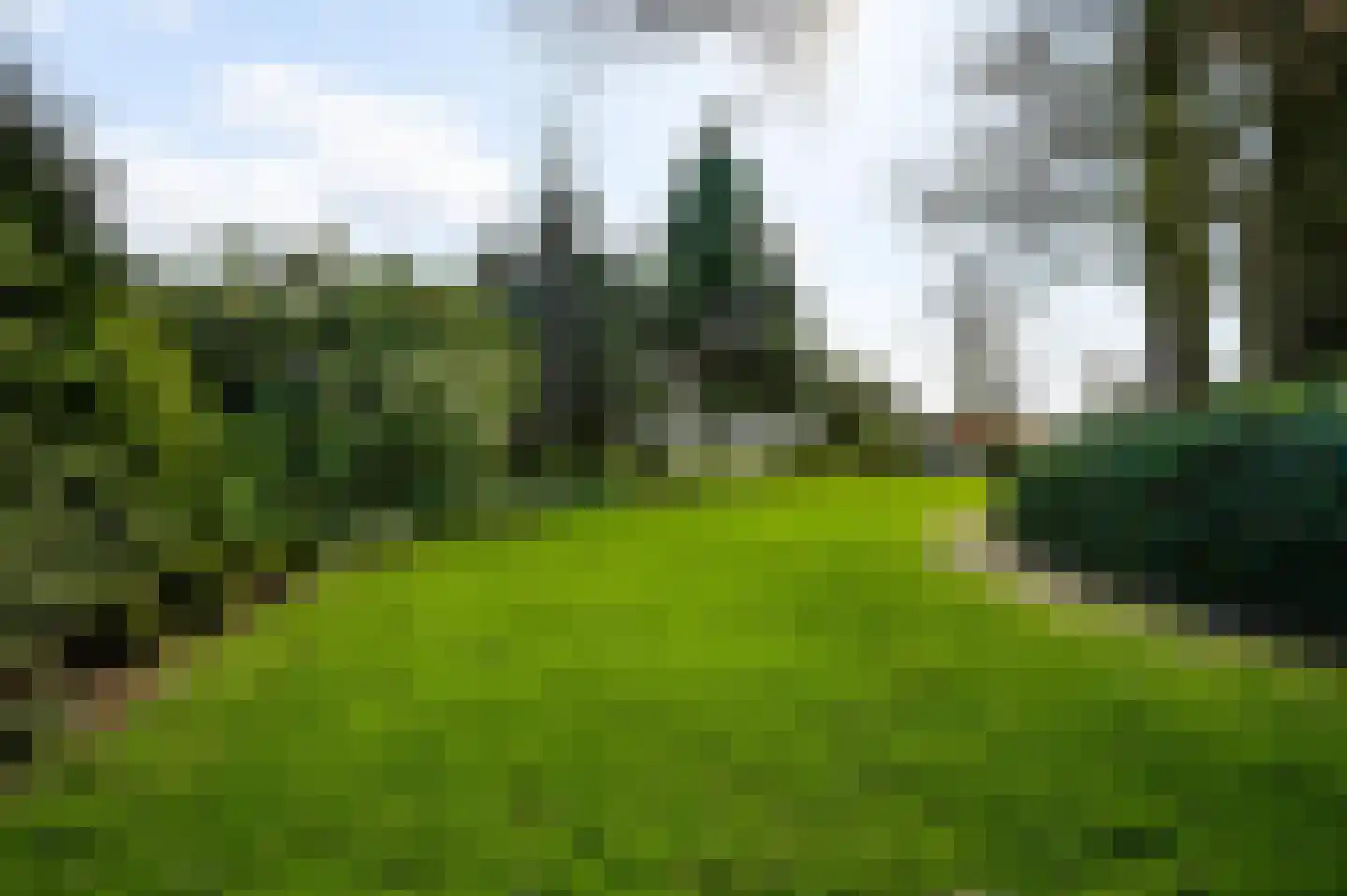 Donkerpeelkensweg 17 Meijel thumbnail 41