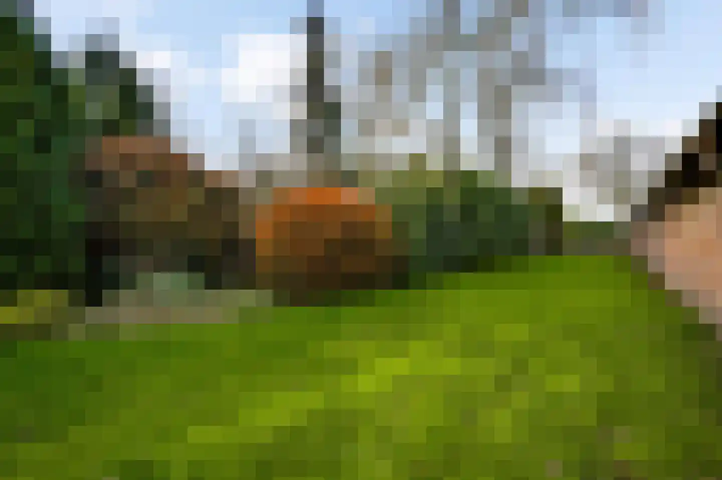 Donkerpeelkensweg 17 Meijel thumbnail 43