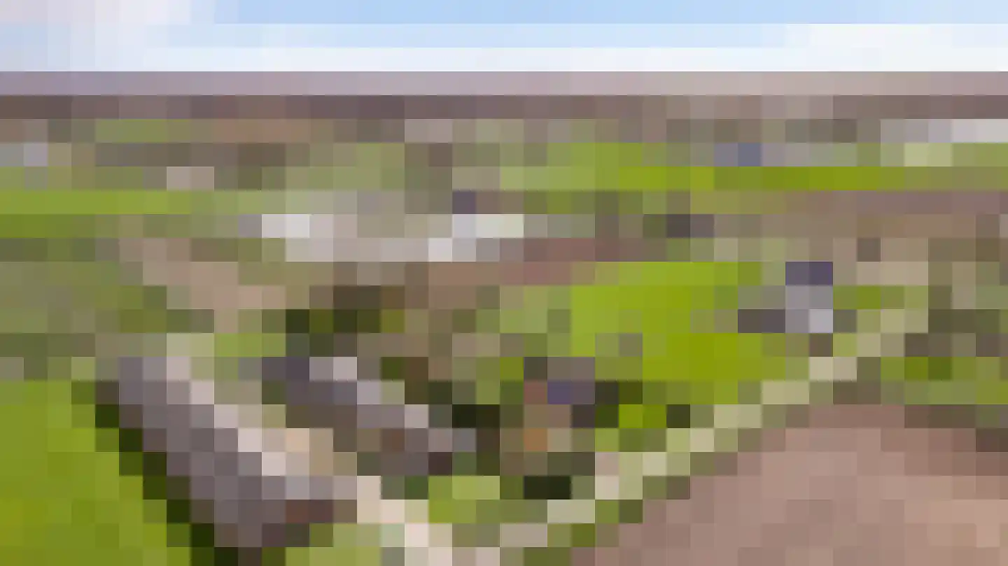 Donkerpeelkensweg 17 Meijel thumbnail 46
