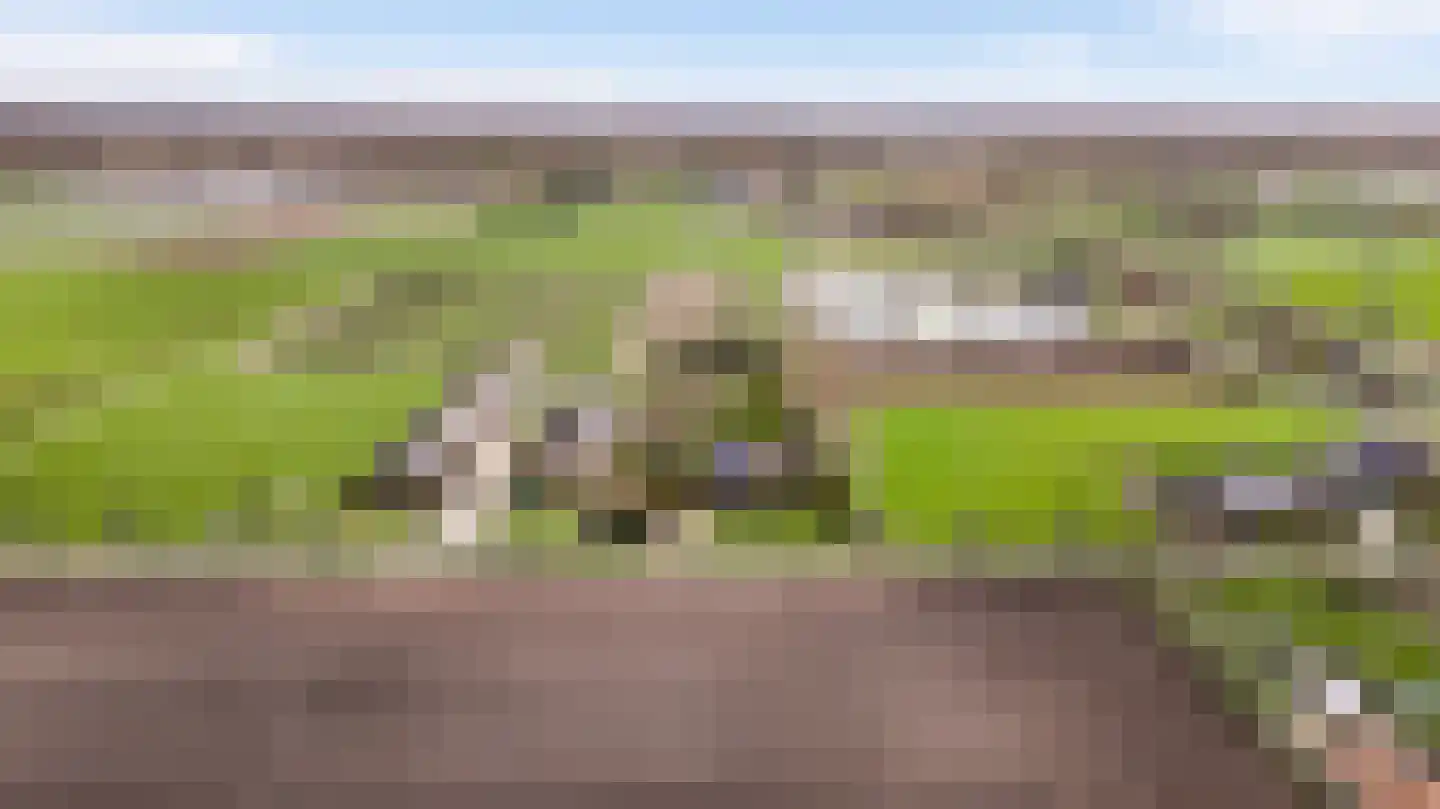 Donkerpeelkensweg 17 Meijel thumbnail 47