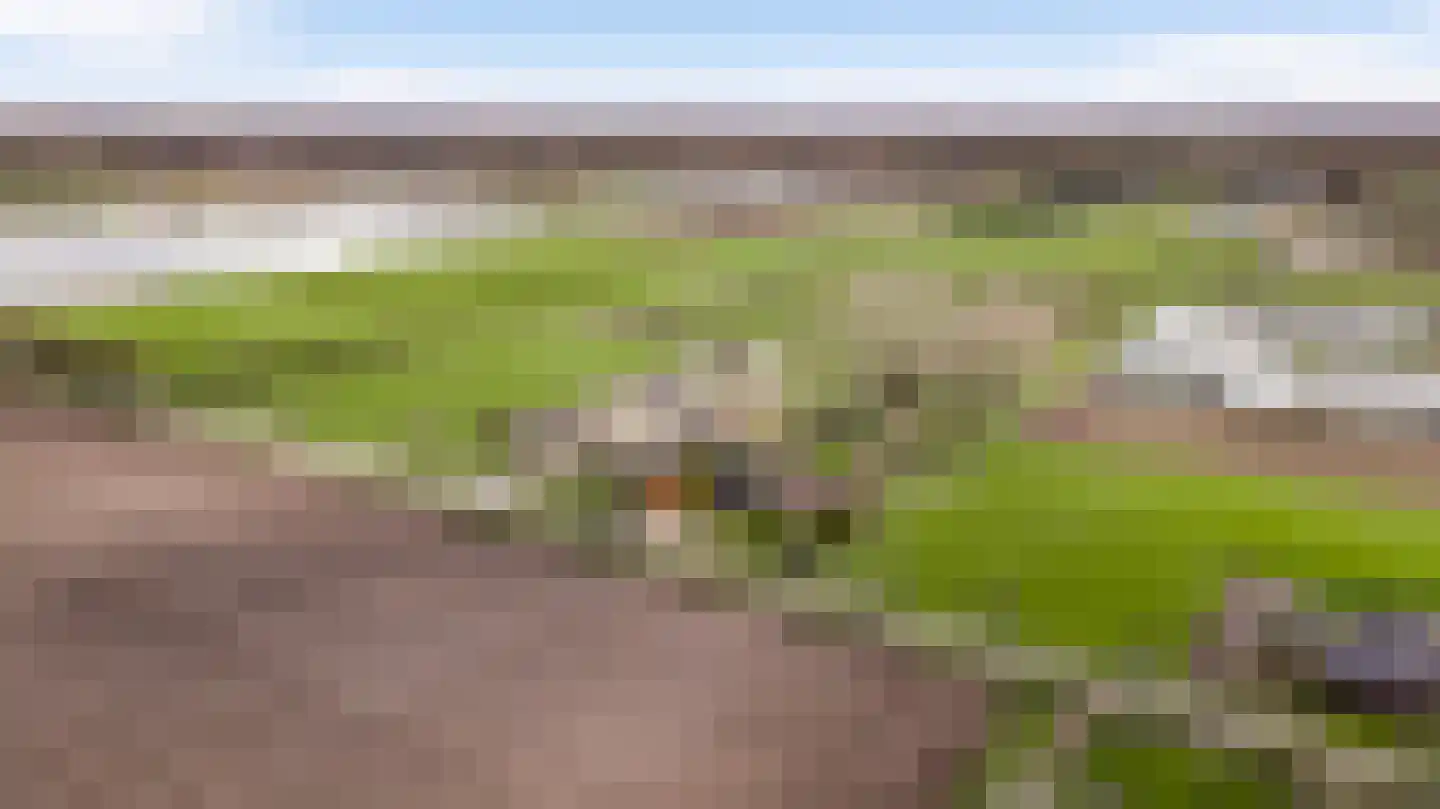 Donkerpeelkensweg 17 Meijel thumbnail 48