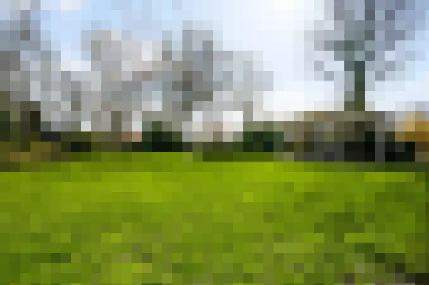 Donkerpeelkensweg 17 Meijel thumbnail 5