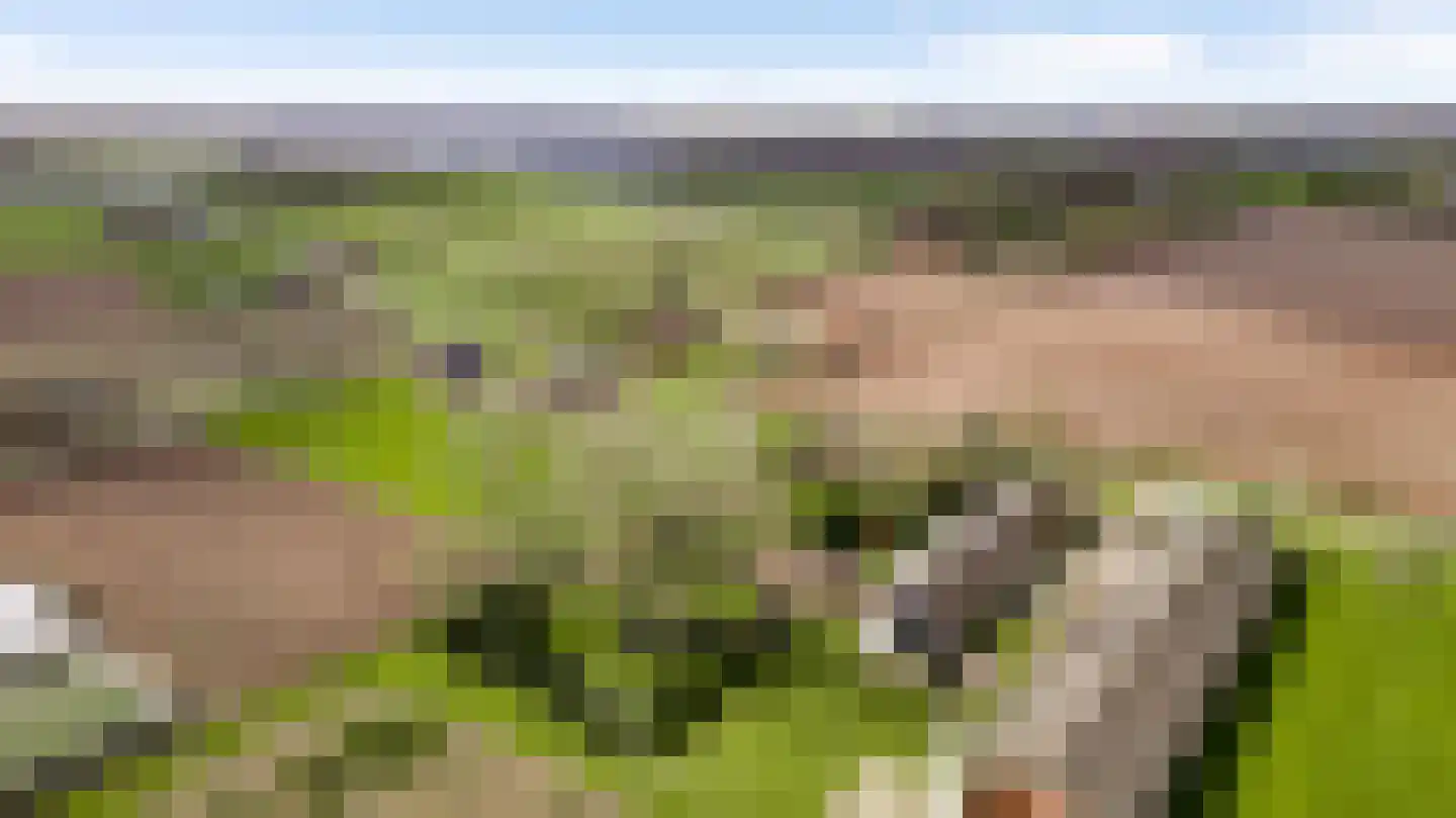 Donkerpeelkensweg 17 Meijel thumbnail 50