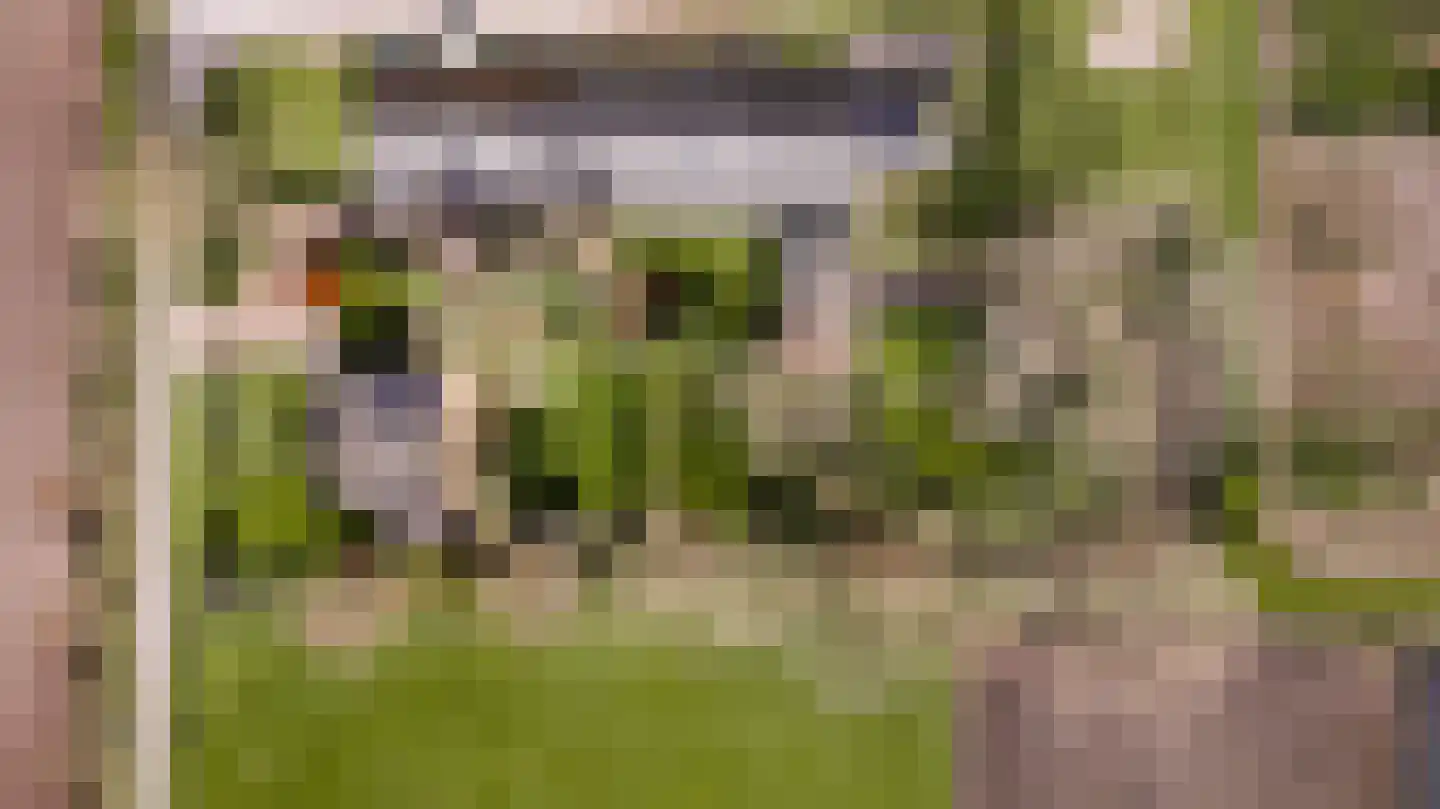 Donkerpeelkensweg 17 Meijel thumbnail 51