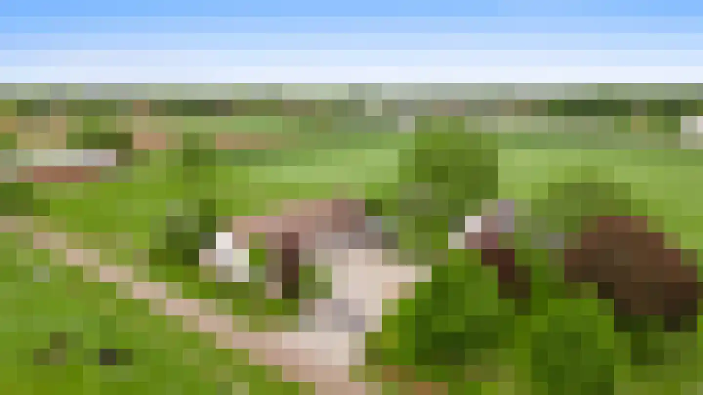 Donkerpeelkensweg 25 Meijel thumbnail 12