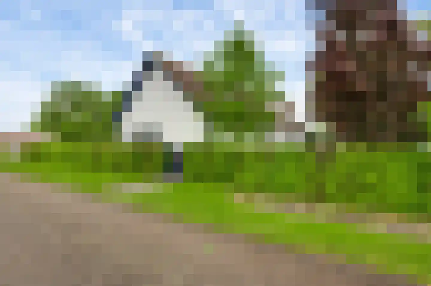 Donkerpeelkensweg 25 Meijel thumbnail 15