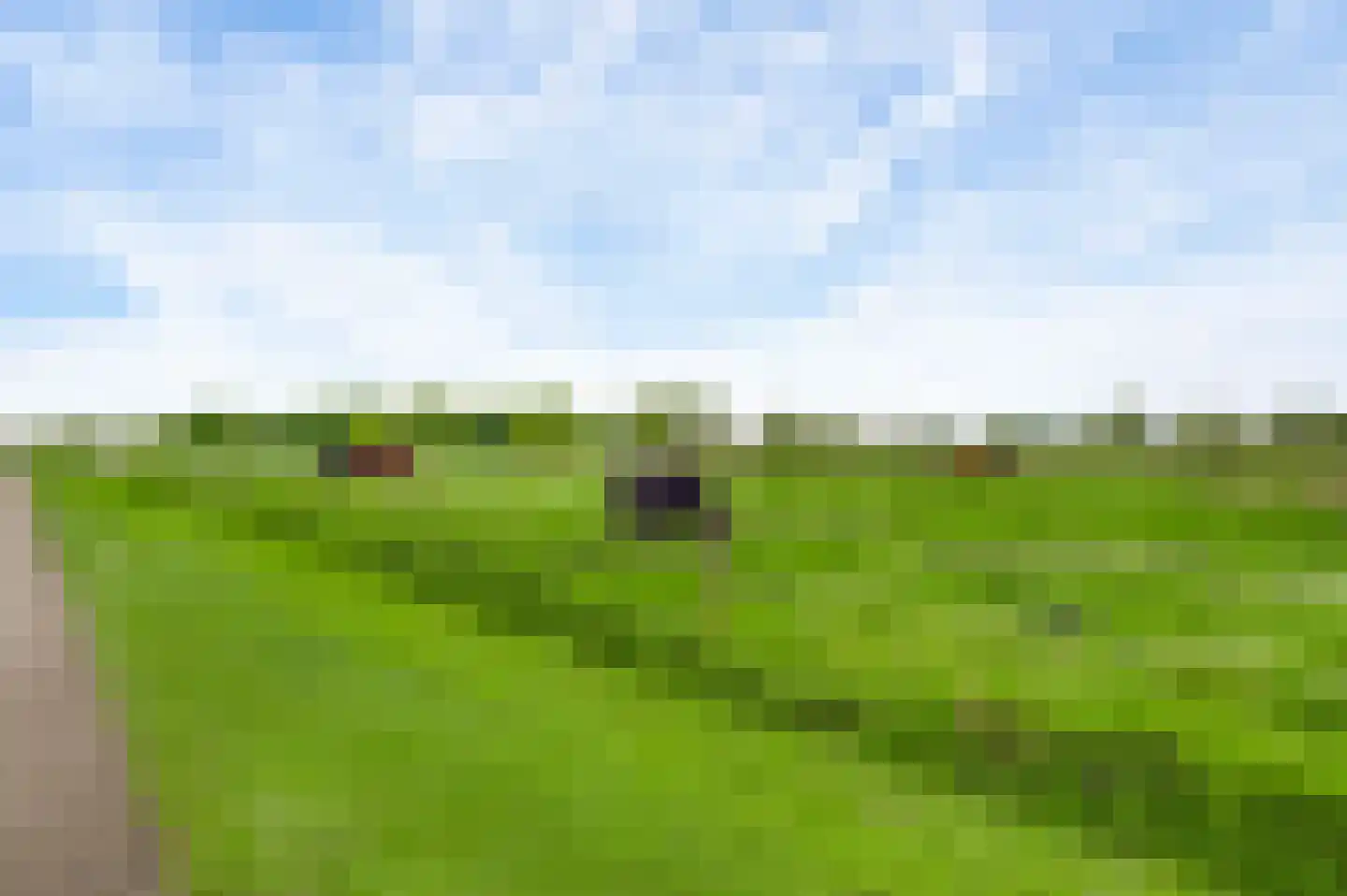 Donkerpeelkensweg 25 Meijel thumbnail 16