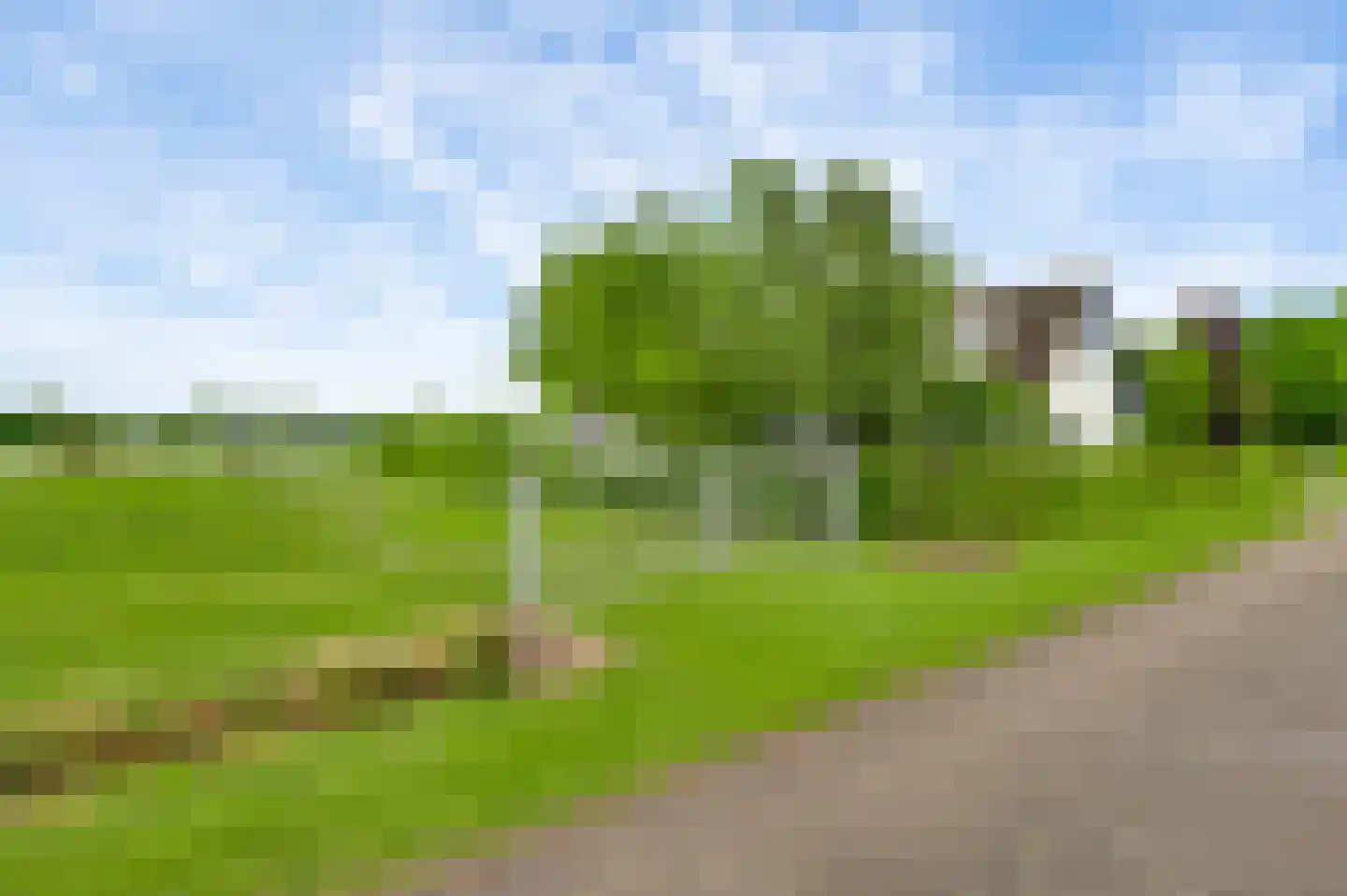 Donkerpeelkensweg 25 Meijel thumbnail 17