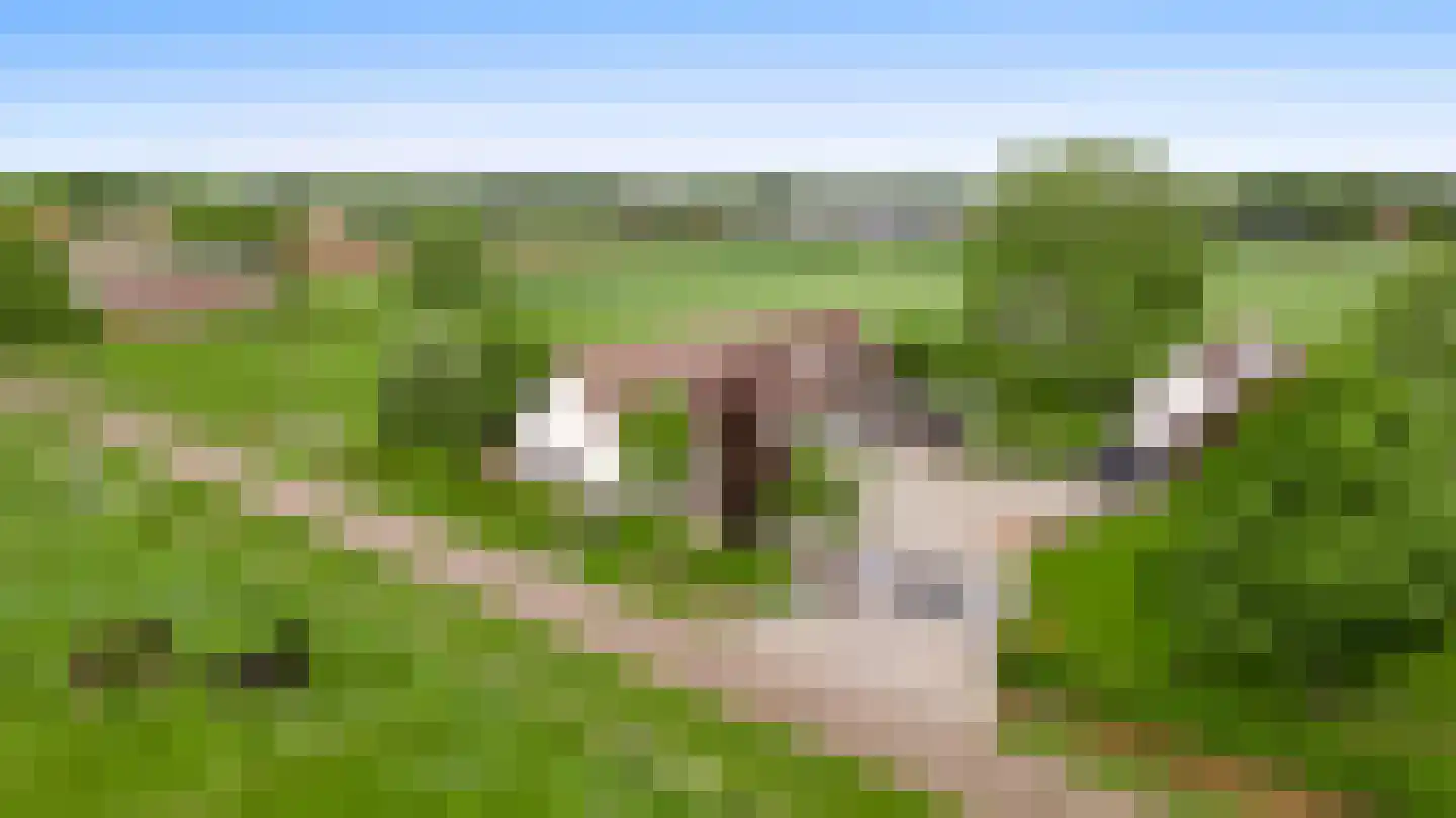 Donkerpeelkensweg 25 Meijel foto 2