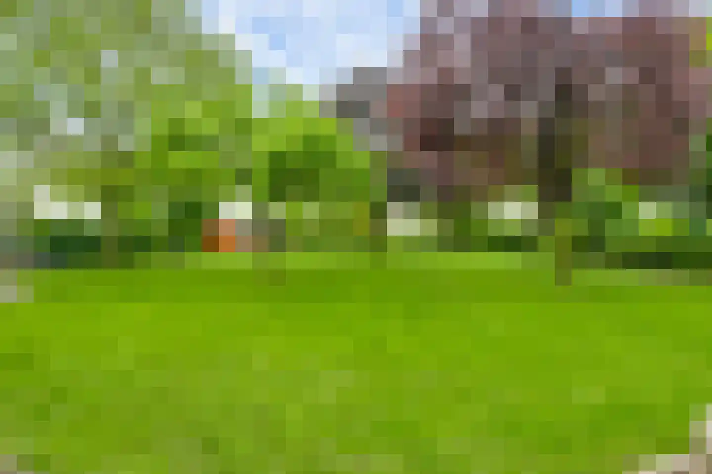 Donkerpeelkensweg 25 Meijel thumbnail 20