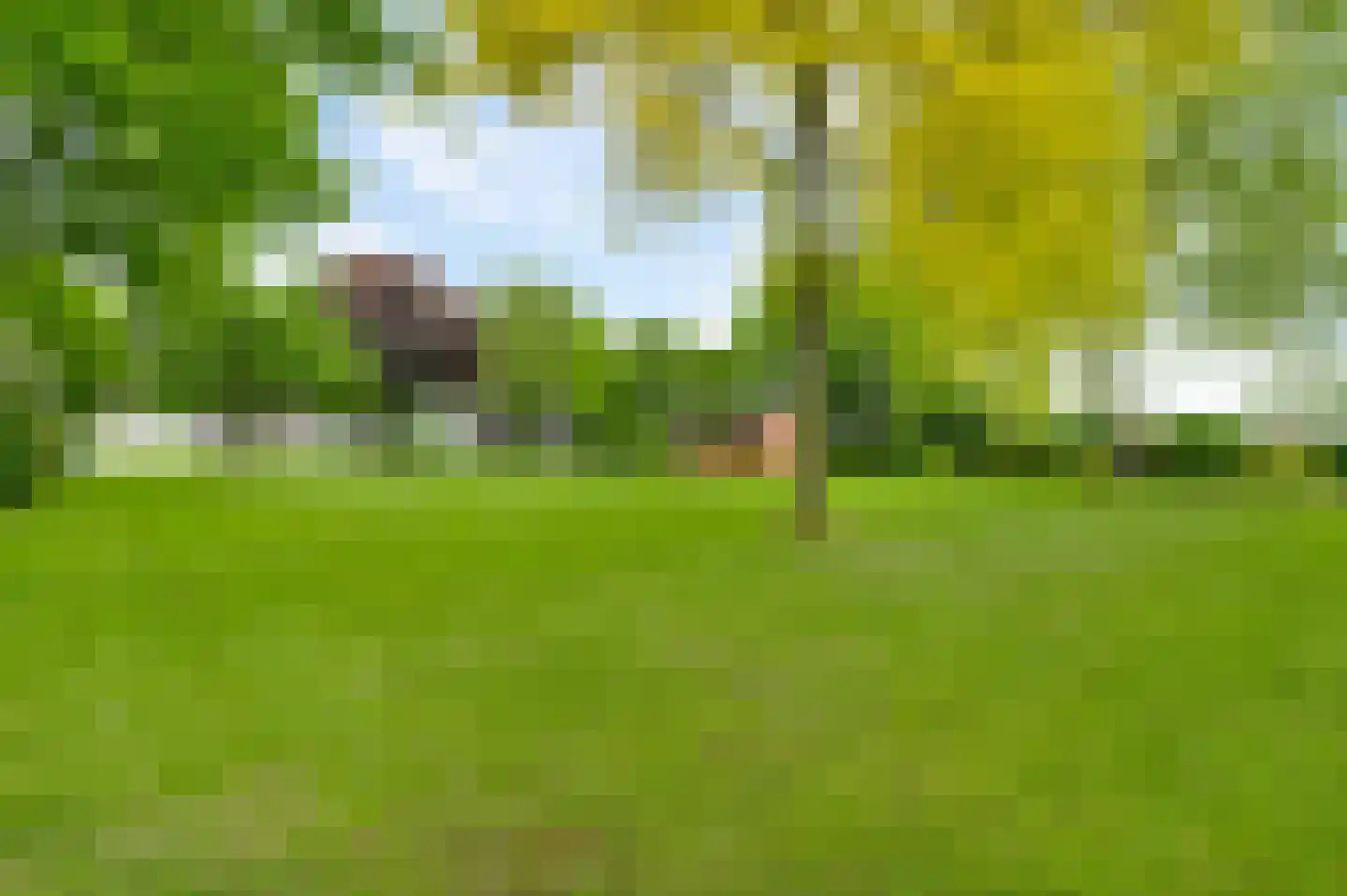 Donkerpeelkensweg 25 Meijel thumbnail 23