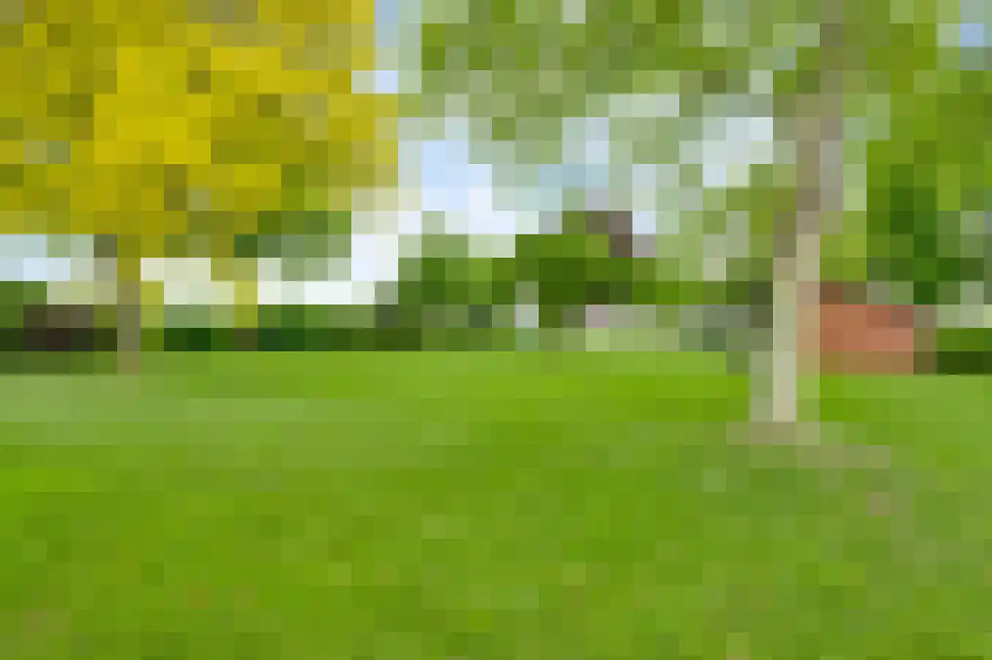 Donkerpeelkensweg 25 Meijel thumbnail 24