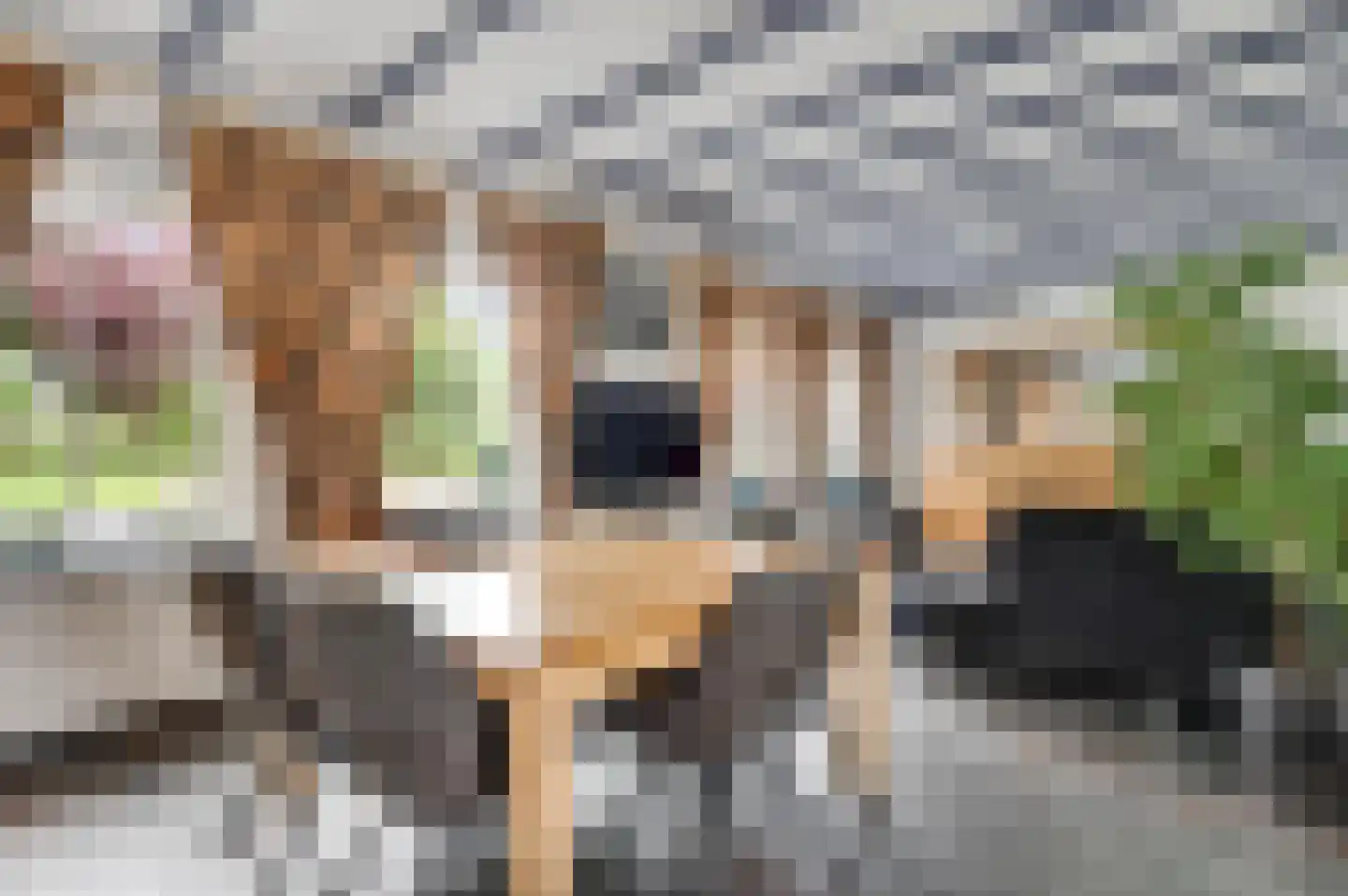 Donkerpeelkensweg 25 Meijel thumbnail 26