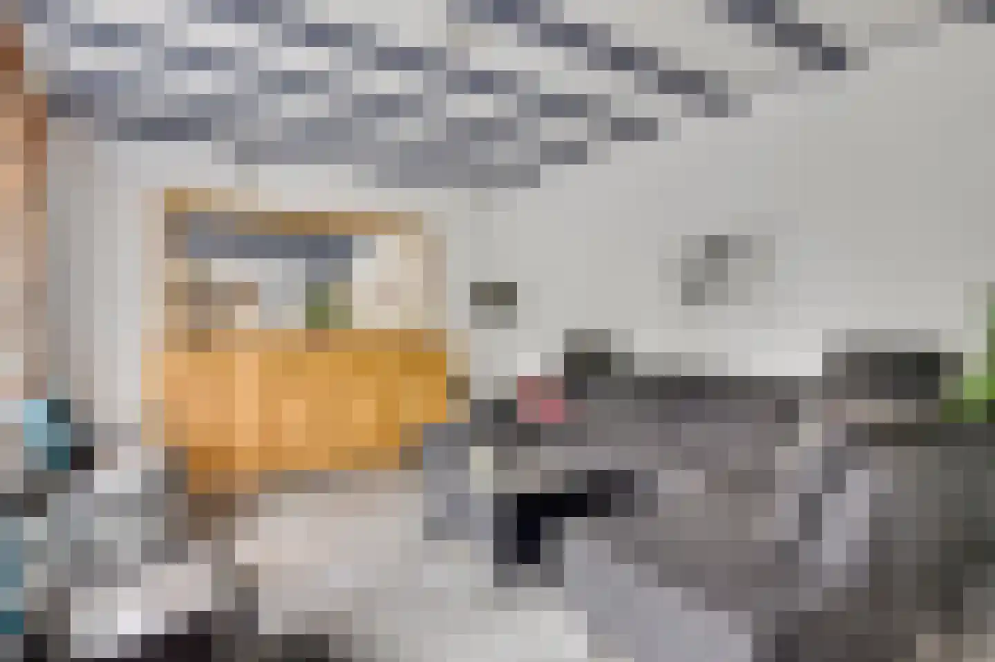 Donkerpeelkensweg 25 Meijel thumbnail 28