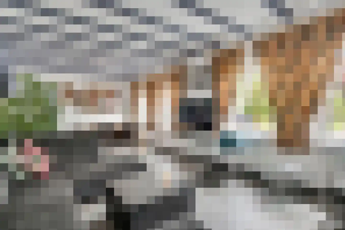 Donkerpeelkensweg 25 Meijel thumbnail 29