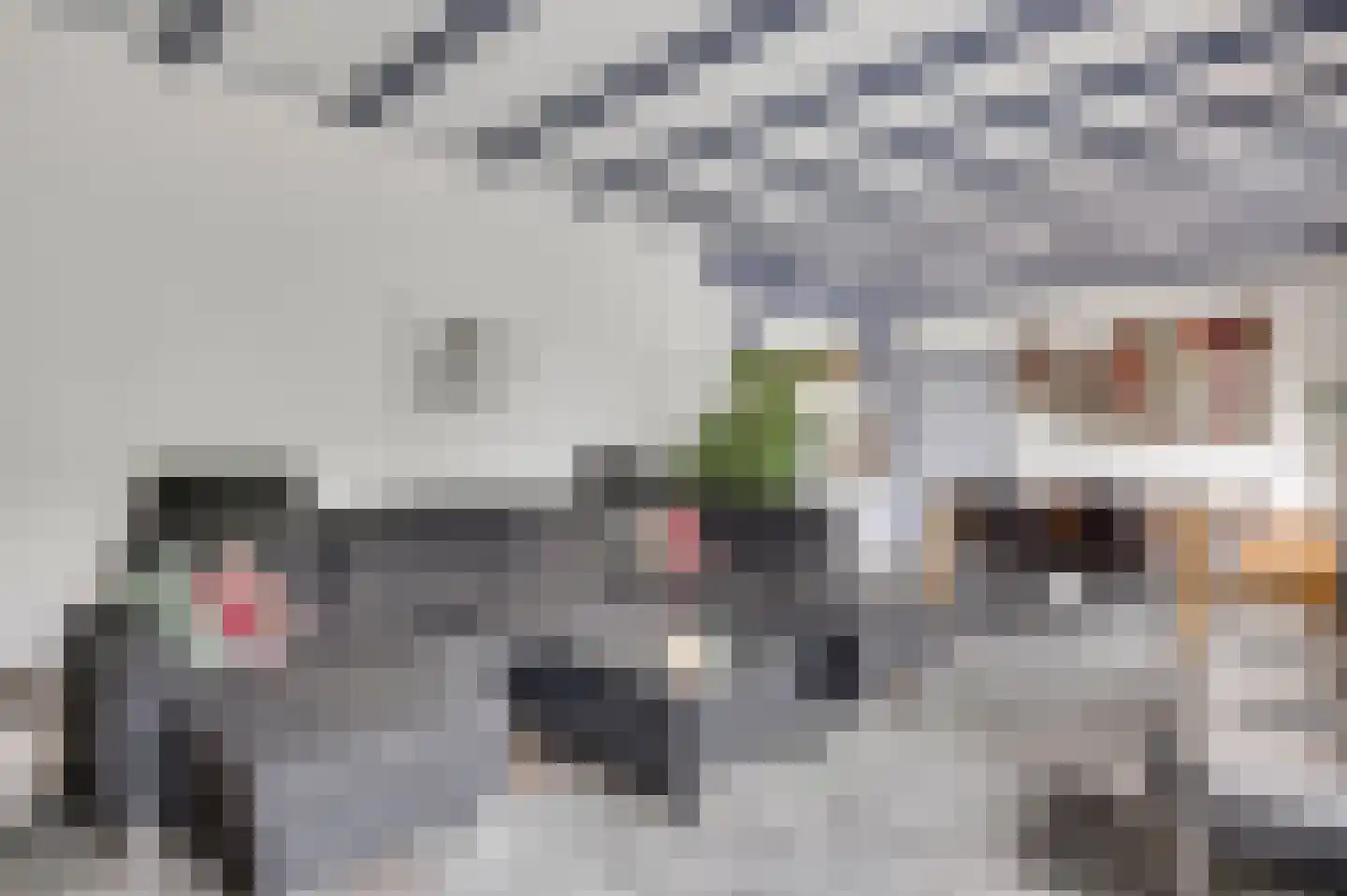 Donkerpeelkensweg 25 Meijel thumbnail 30