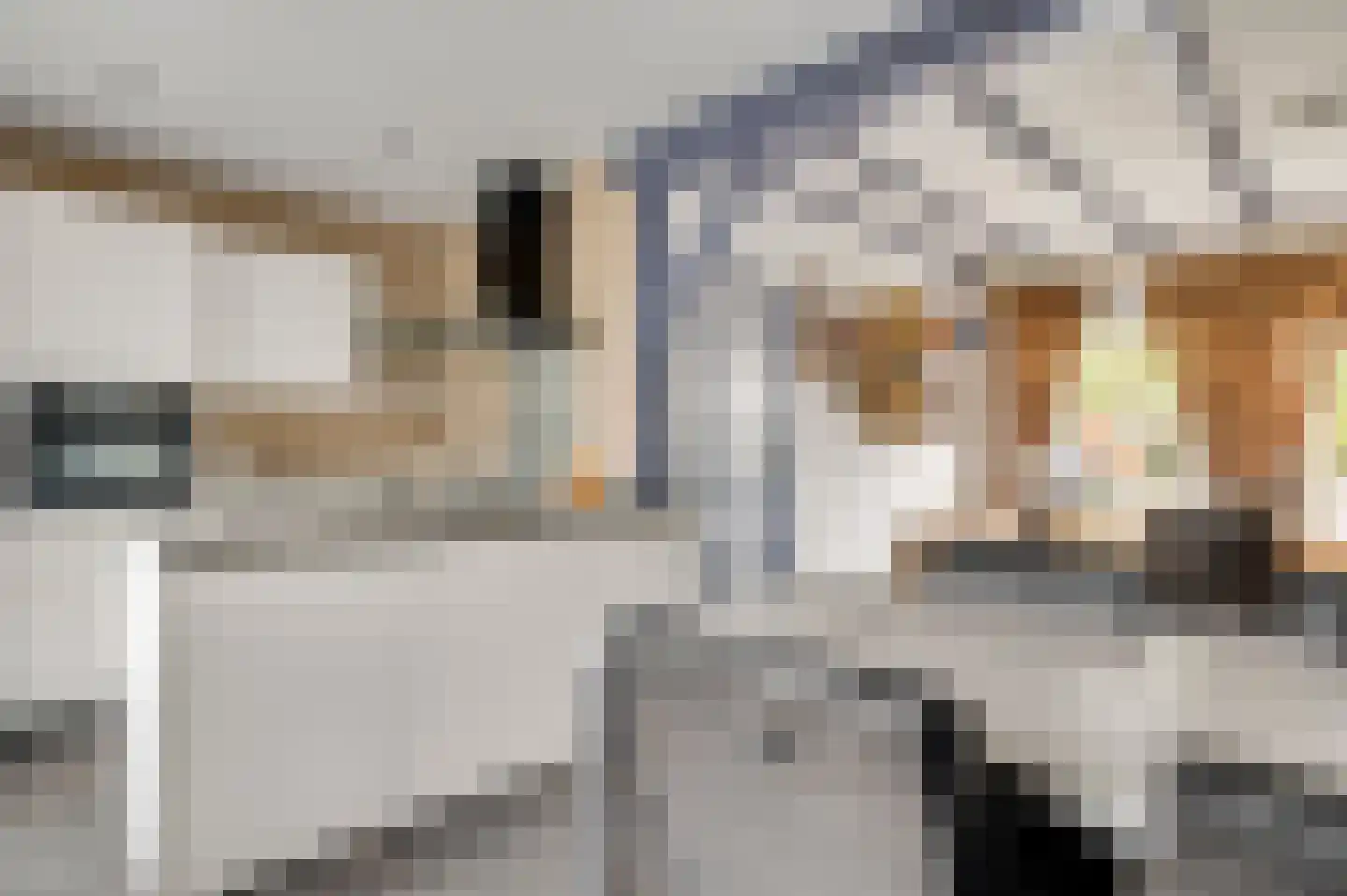 Donkerpeelkensweg 25 Meijel thumbnail 33