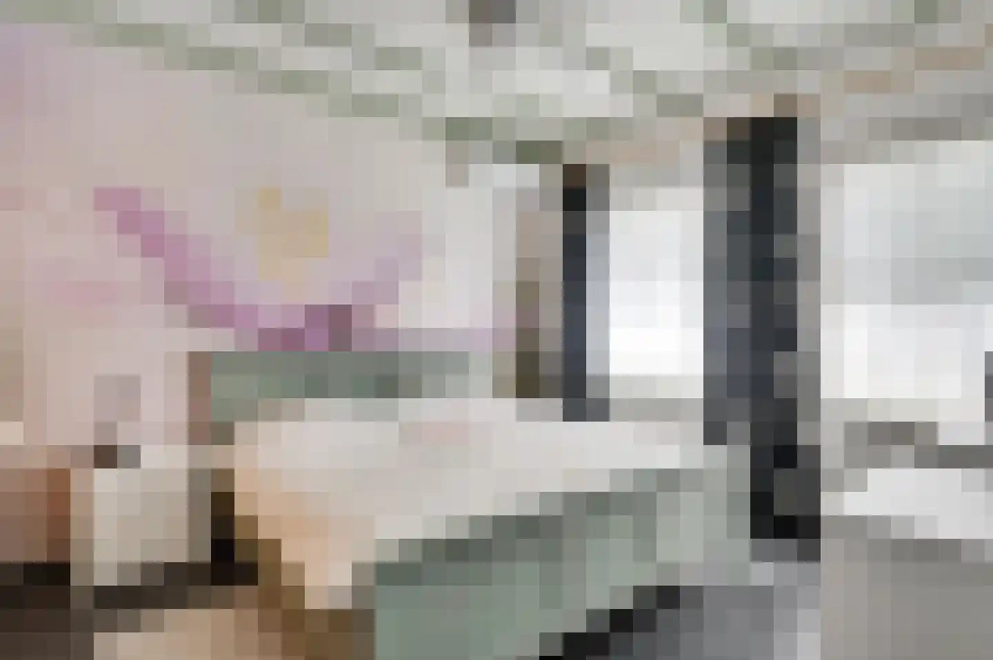 Donkerpeelkensweg 25 Meijel thumbnail 38