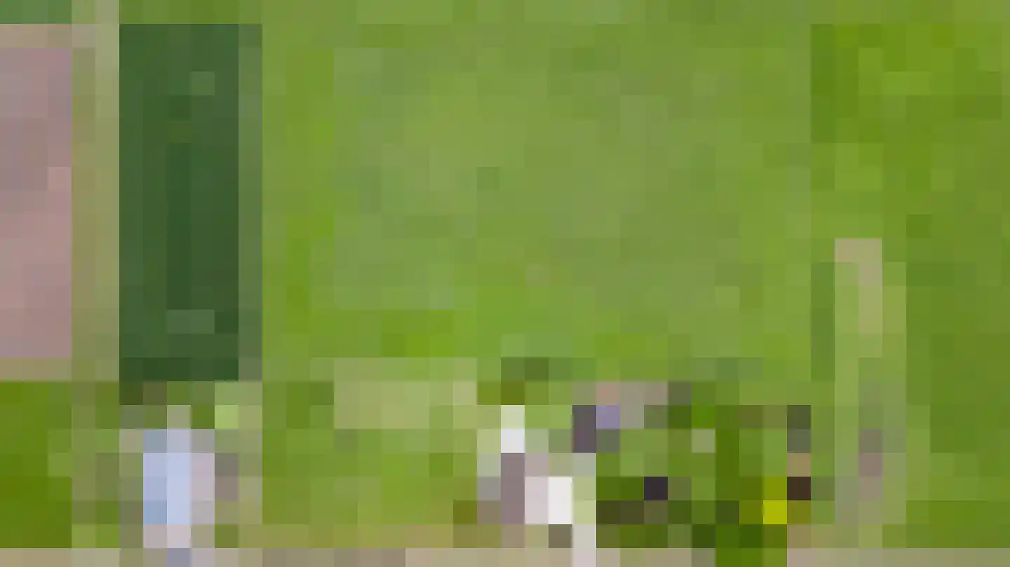 Donkerpeelkensweg 25 Meijel thumbnail 55