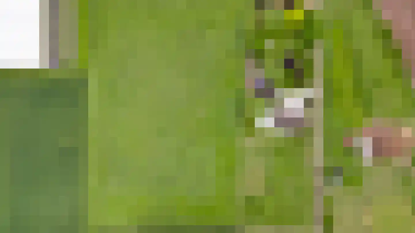 Donkerpeelkensweg 25 Meijel thumbnail 56