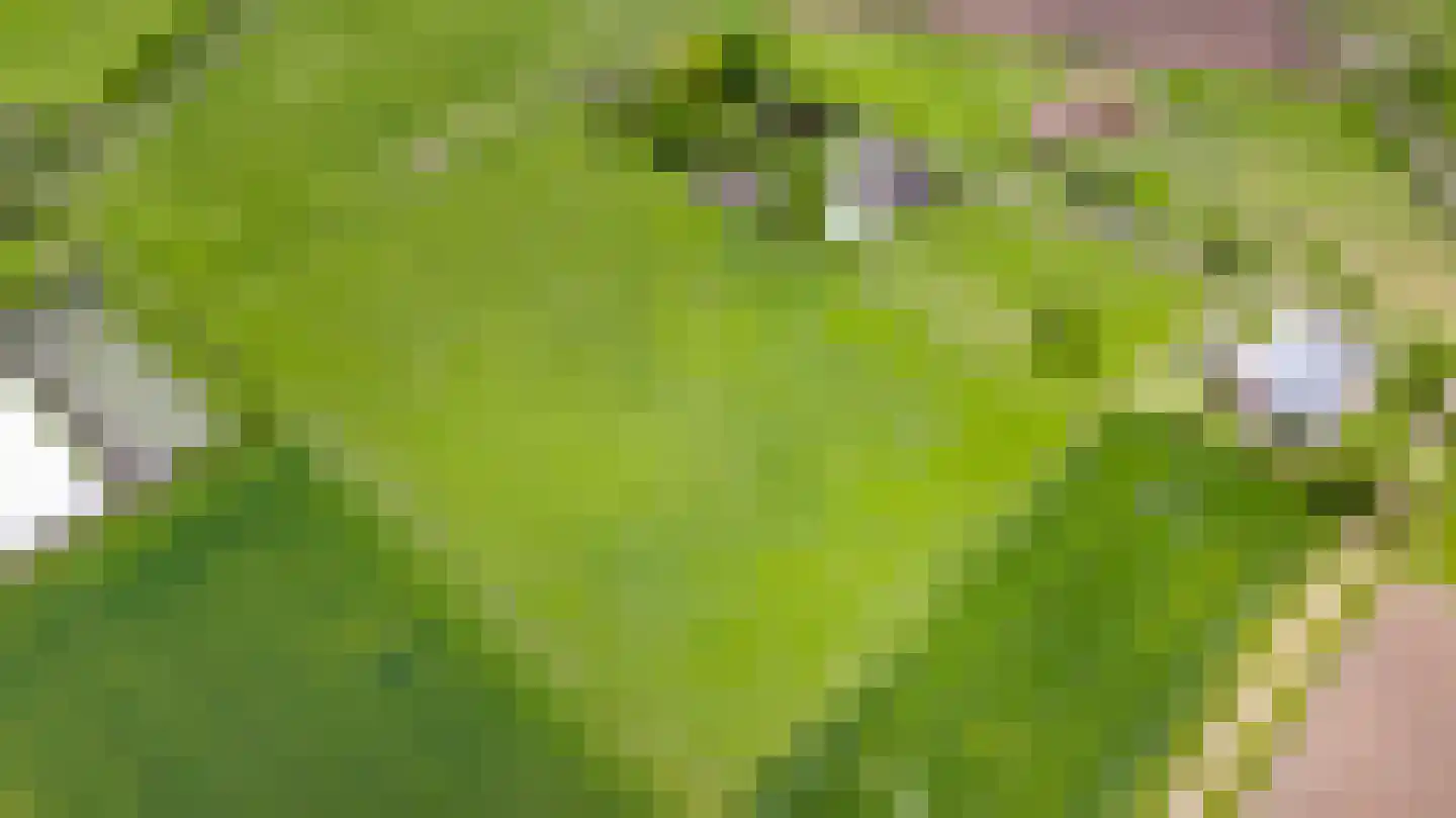 Donkerpeelkensweg 25 Meijel thumbnail 57