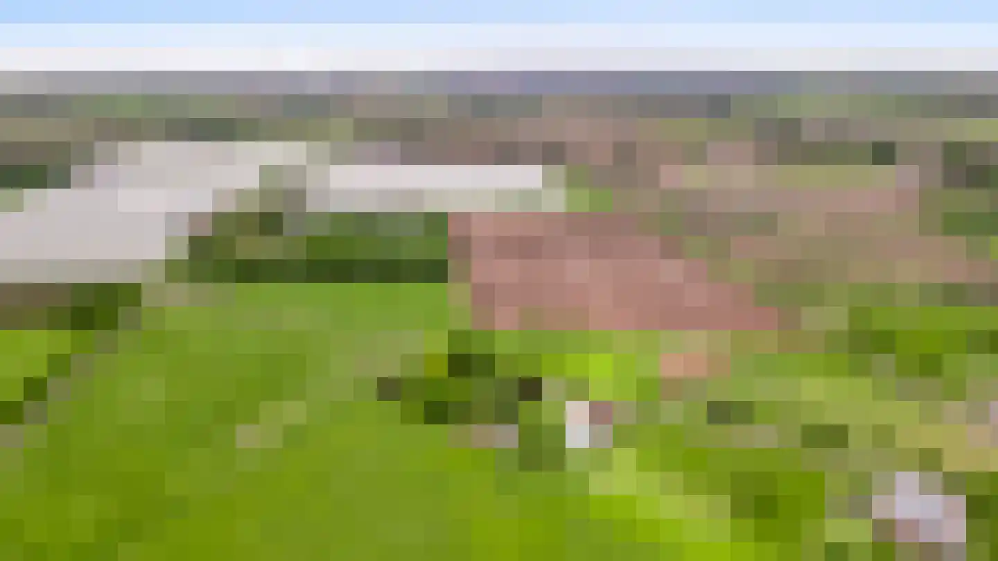Donkerpeelkensweg 25 Meijel thumbnail 58